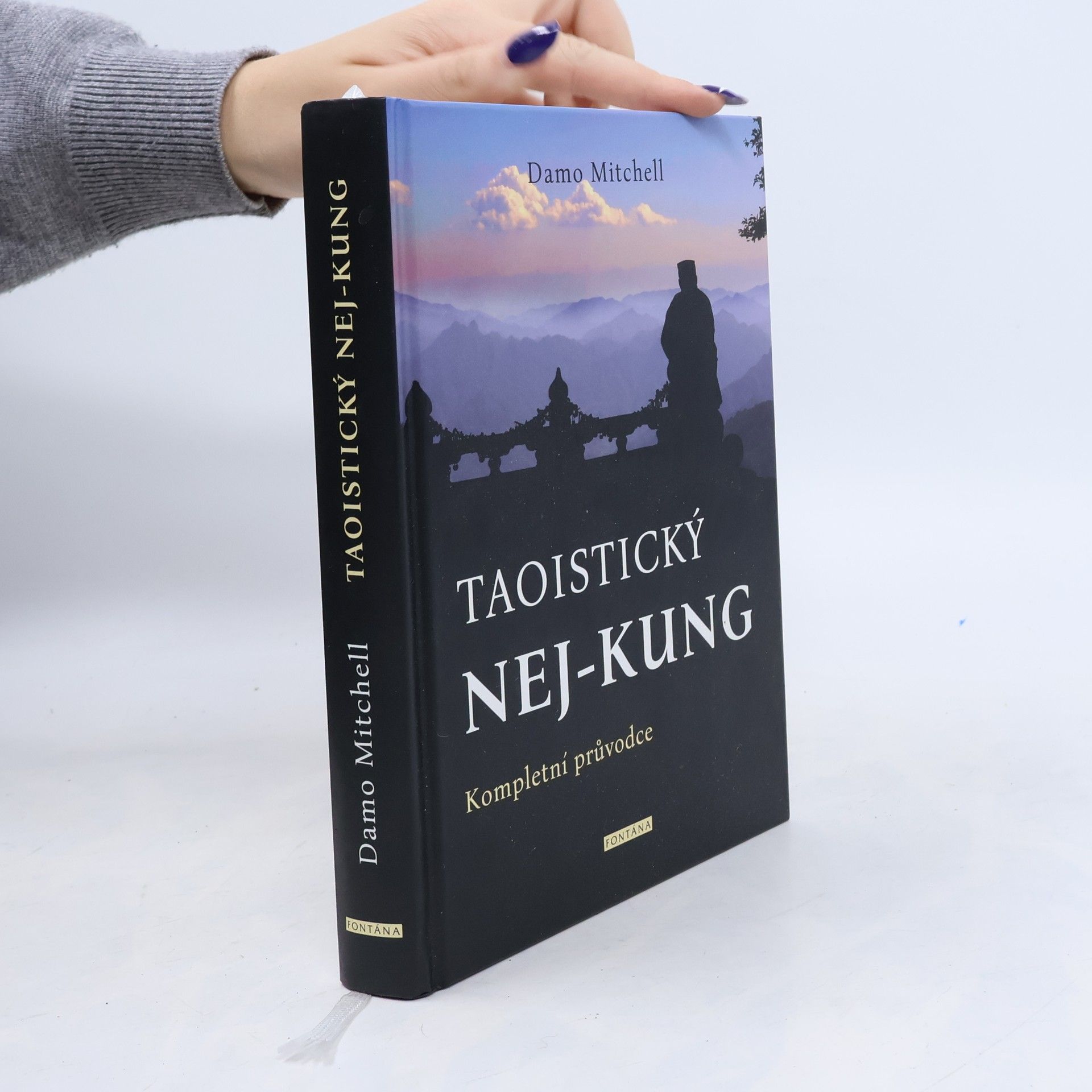 Damo Mitchell Taoistický ne-kung - Kompletní průvodce