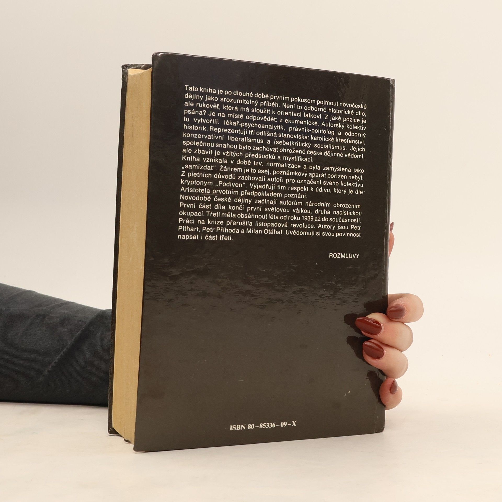 Collectif d'auteurs Češi v dějinách nové doby : pokus o zrcadlo