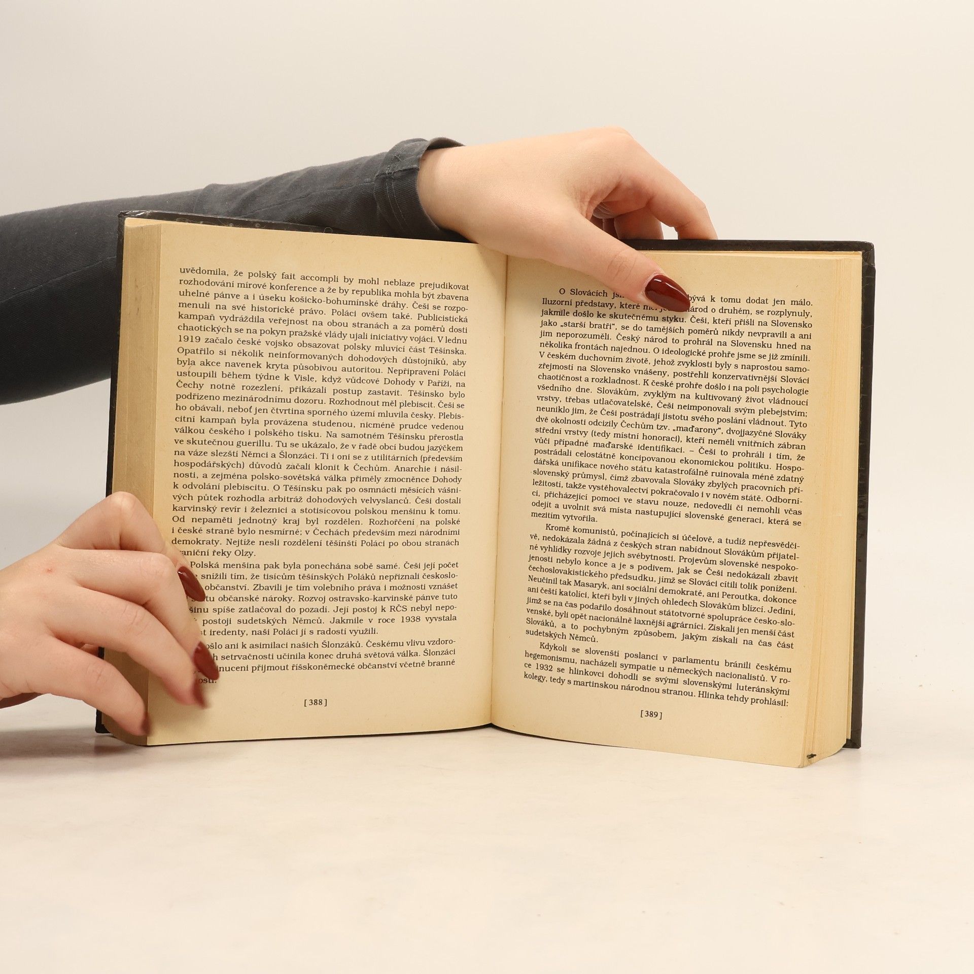 Collectif d'auteurs Češi v dějinách nové doby : pokus o zrcadlo