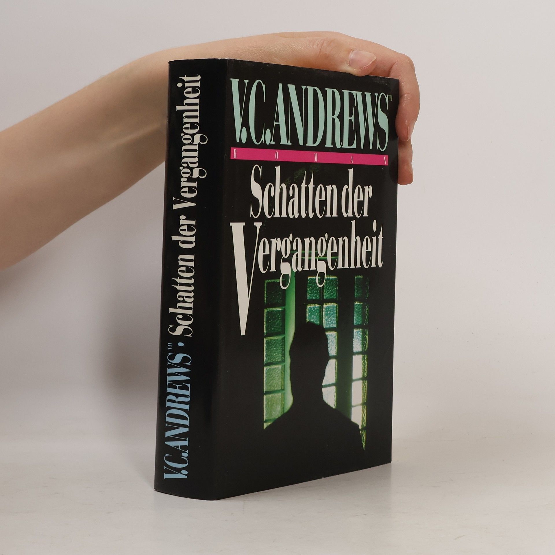 V. C. Andrews Schatten der Vergangenheit
