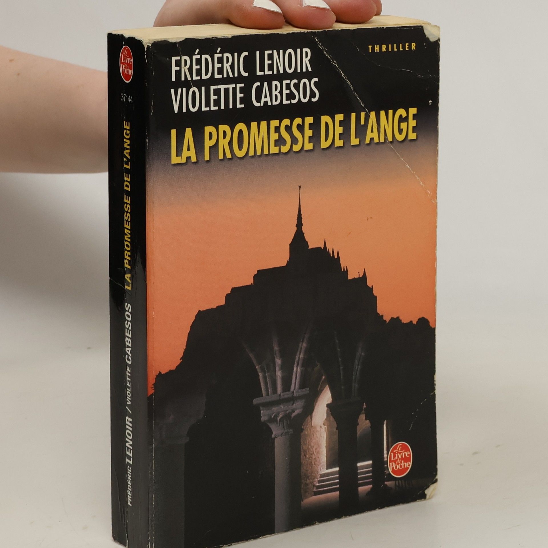 Frédéric Lenoir La Promesse de l'Ange