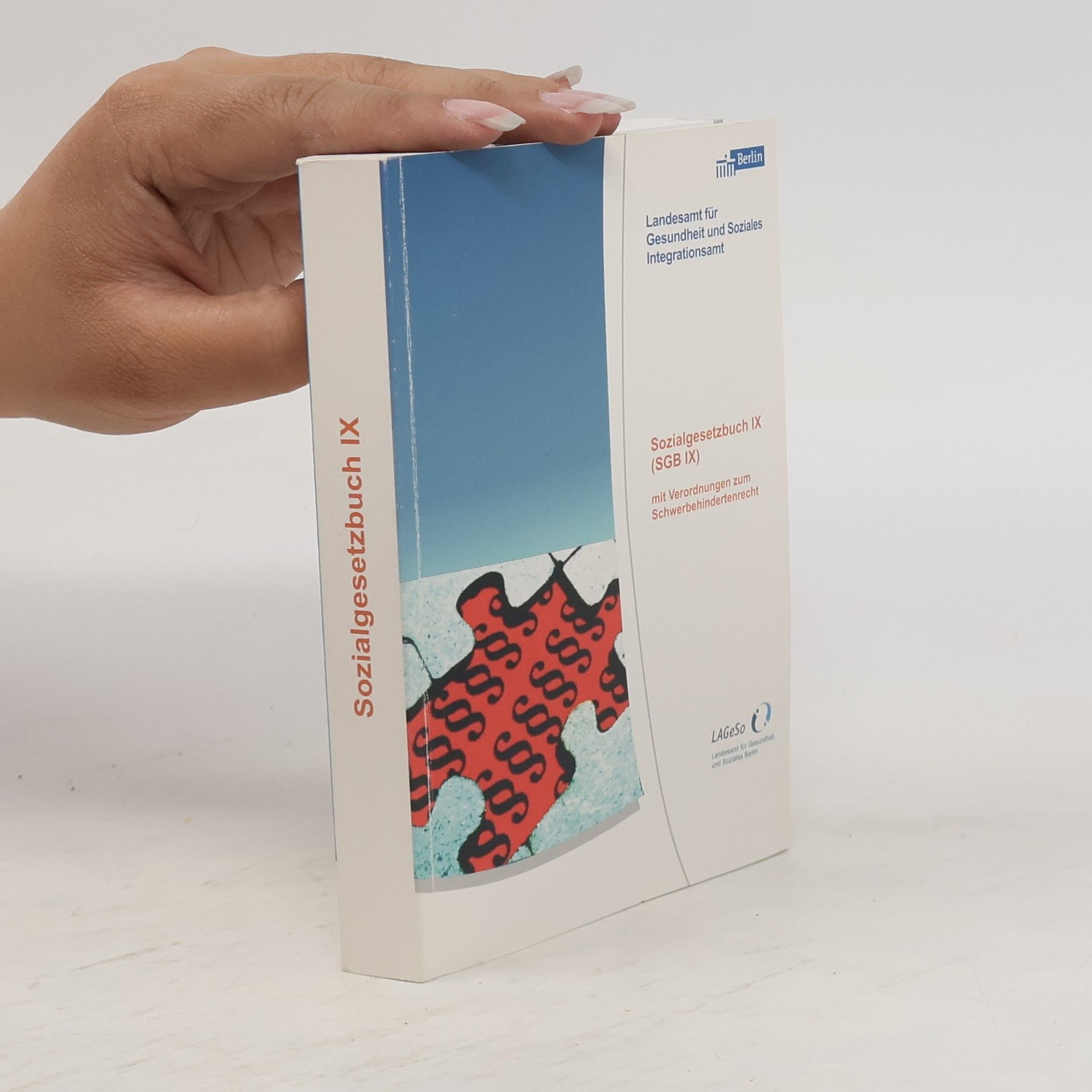Kolektiv autorů Sozialgesetzbuch IX (SGB IX)