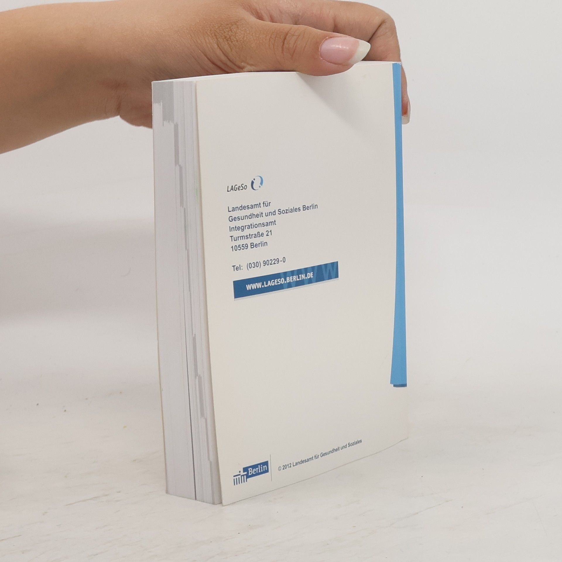 Kolektiv autorů Sozialgesetzbuch IX (SGB IX)
