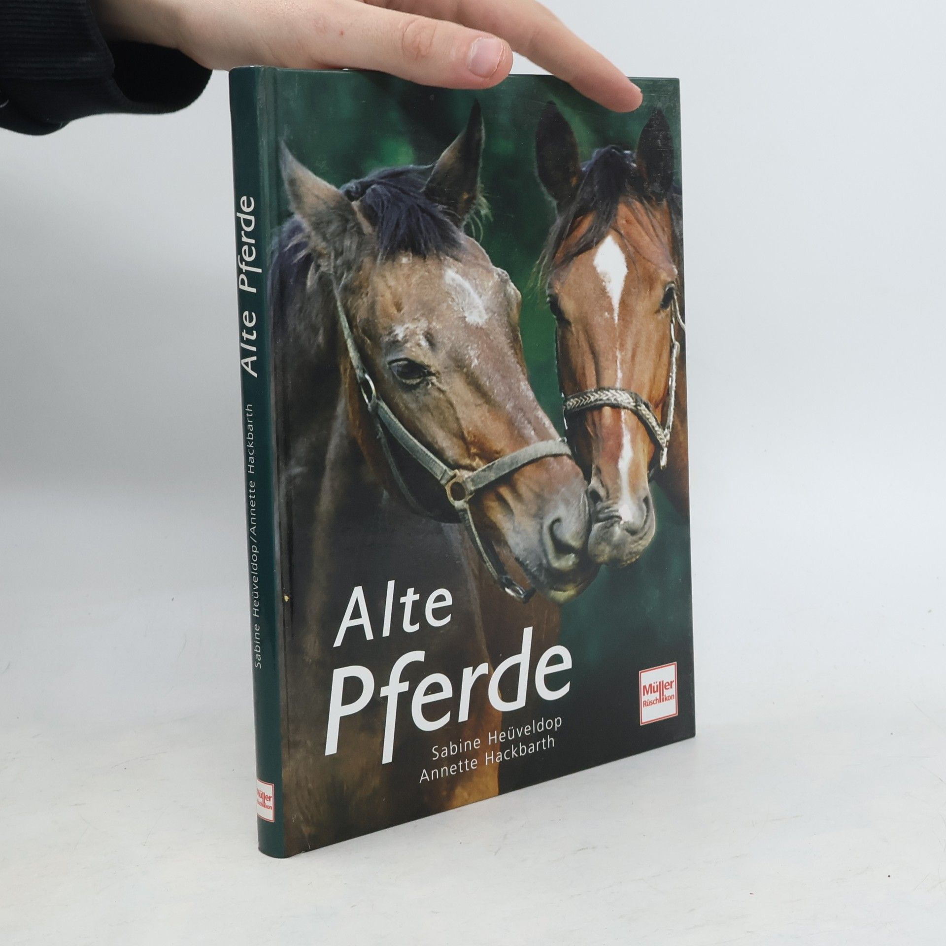 Sabine Heüveldop Alte Pferde