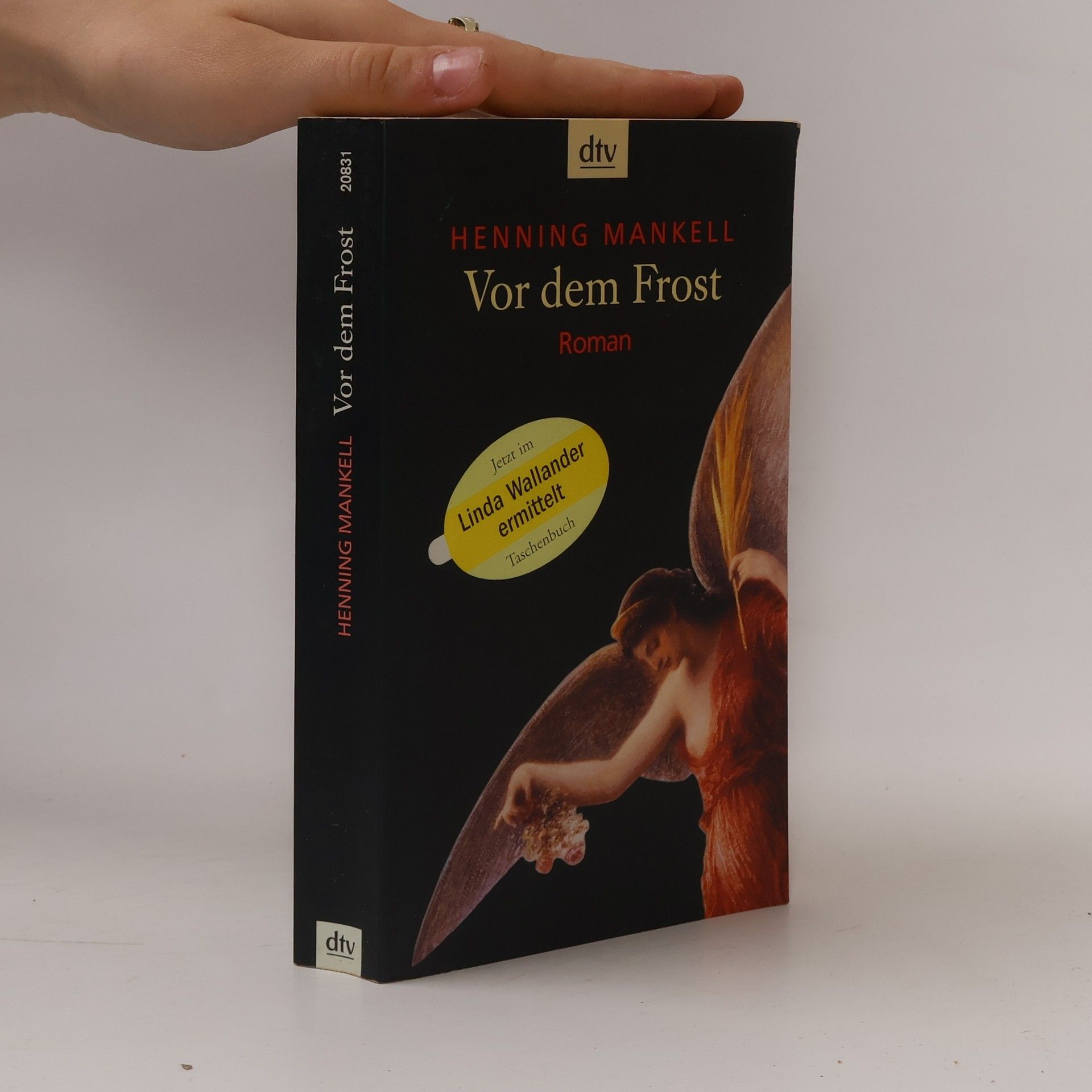 Henning Mankell Vor dem Frost