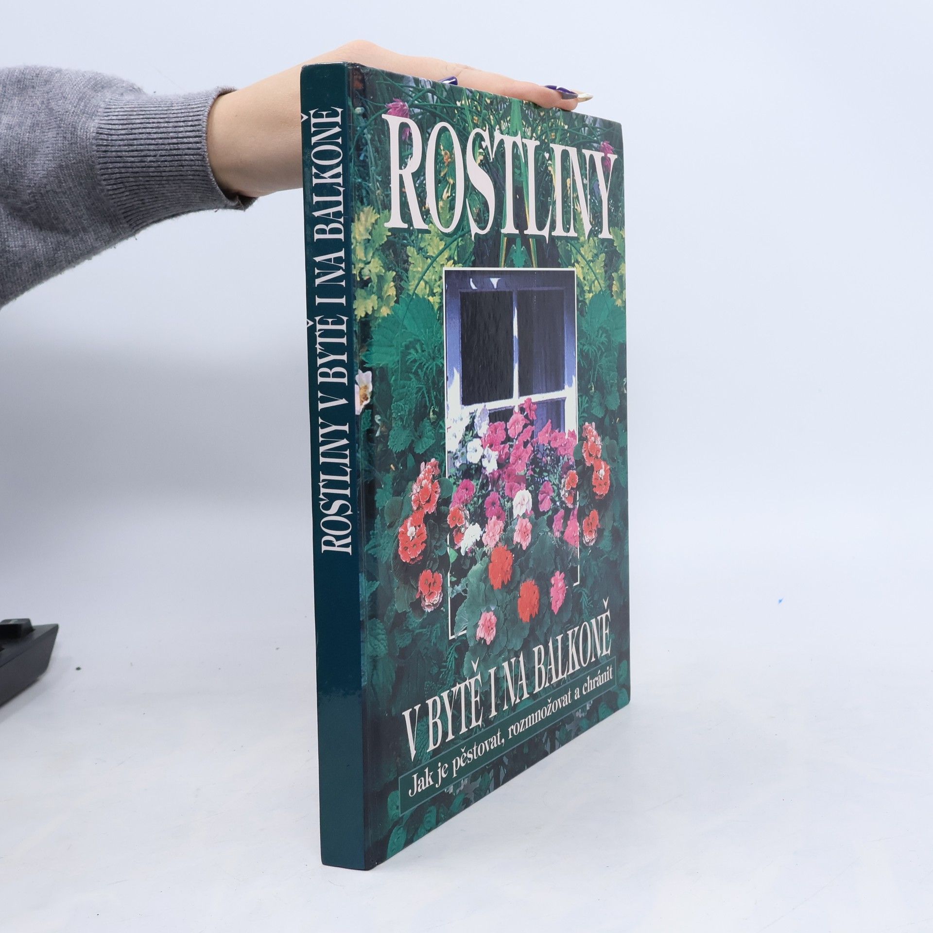Kolektiv autorů Rostliny v bytě i na balkoně