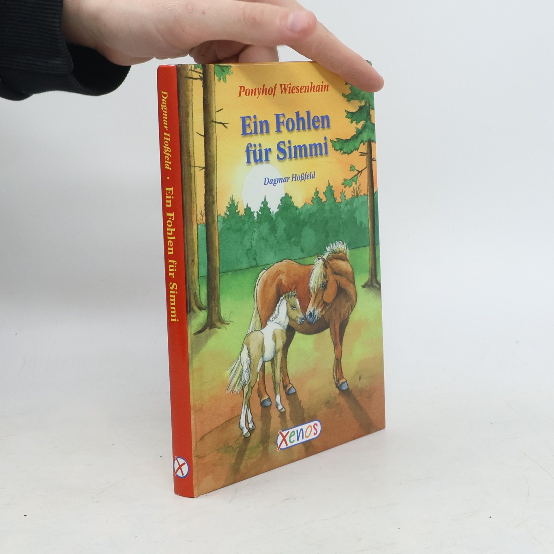 Ponyhof Wiesenhain - Ein Fohlen für Simmi