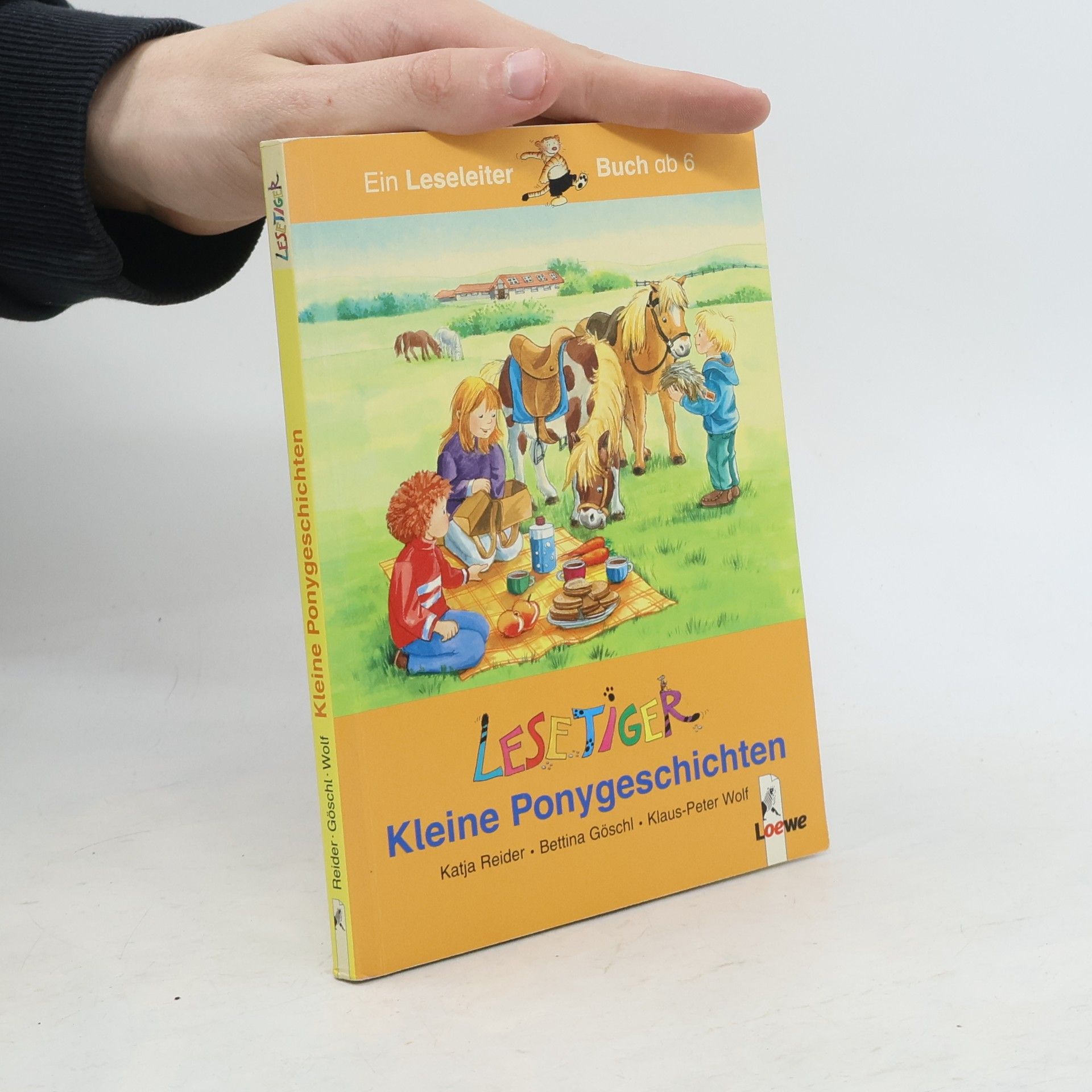 Katja Reider Kleine Ponygeschichten