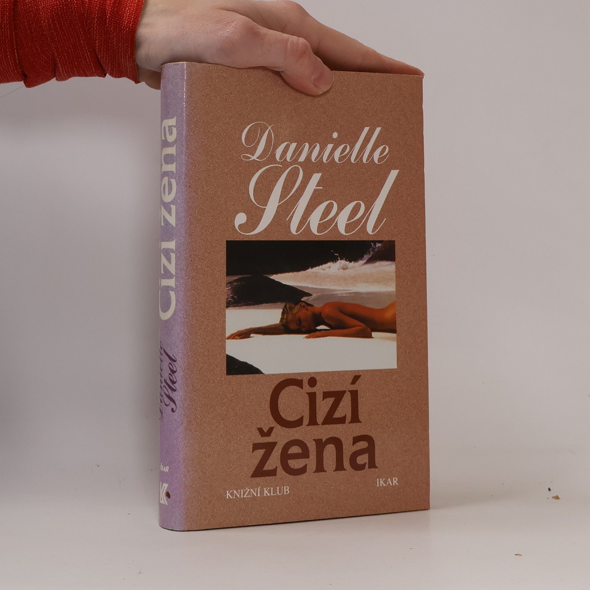 Danielle Steel Cizí žena
