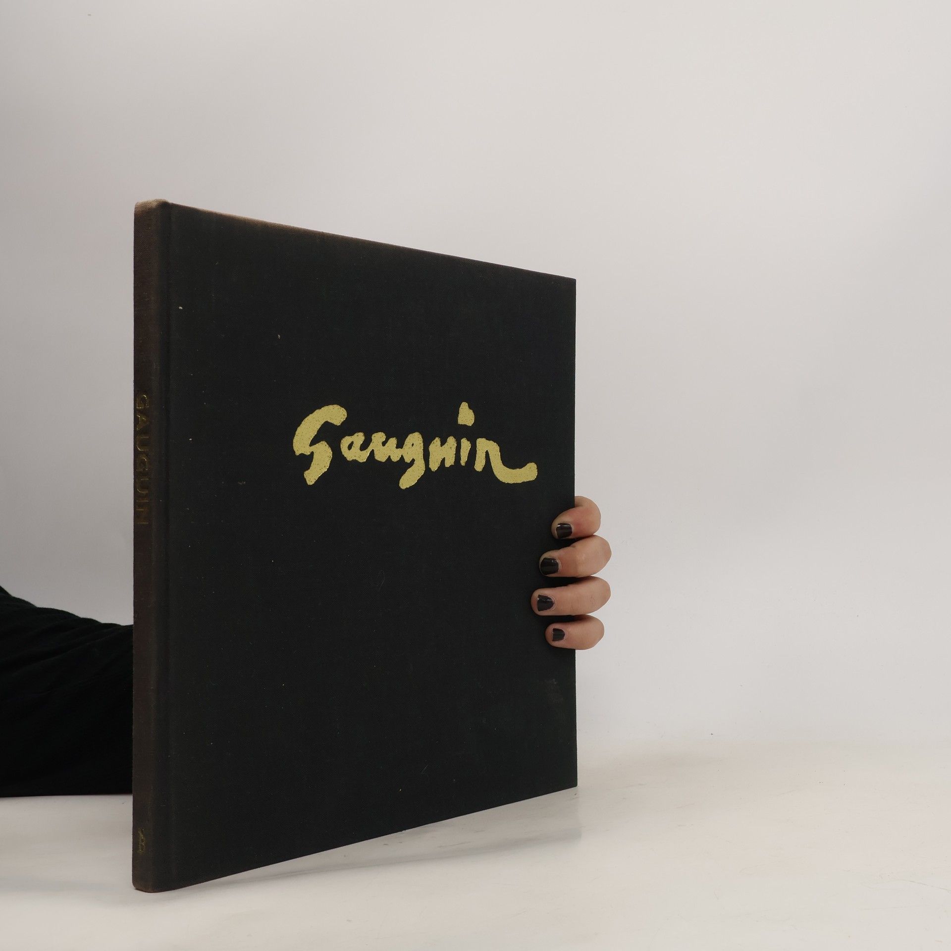 Autorenkollektiv Gauguin