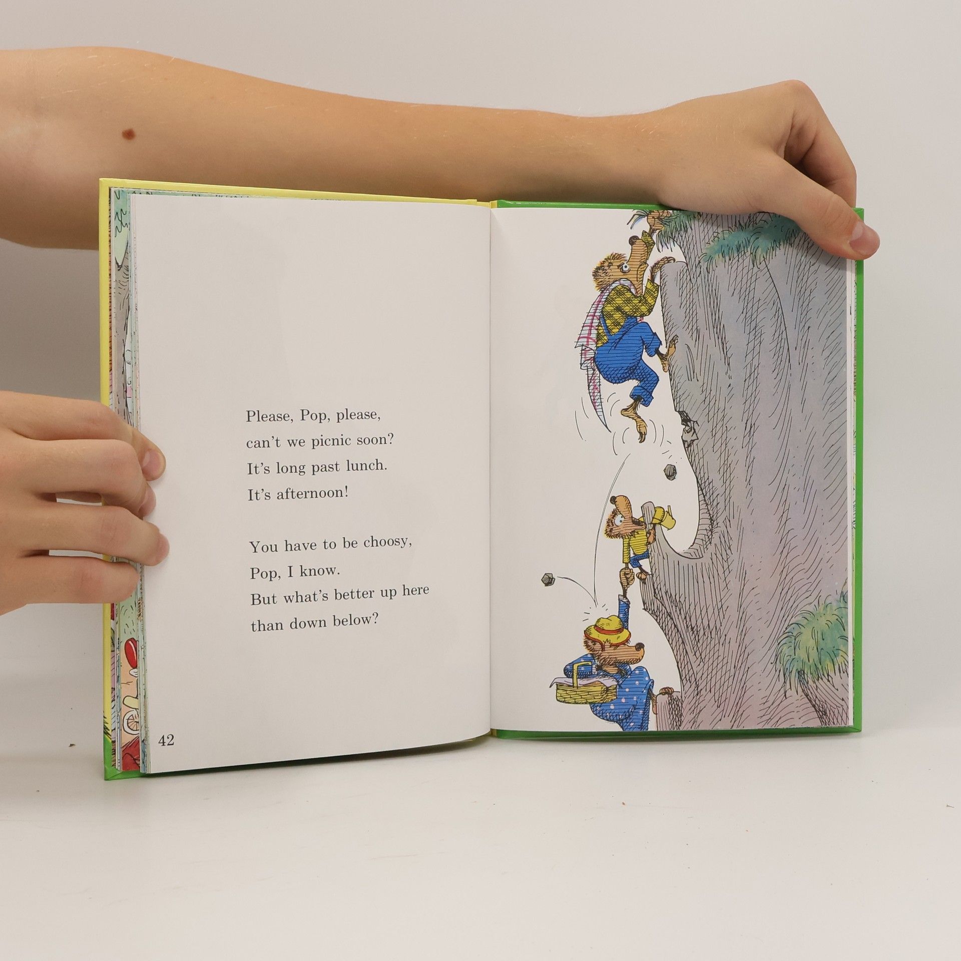 Stan Berenstain The Bears' Picnic