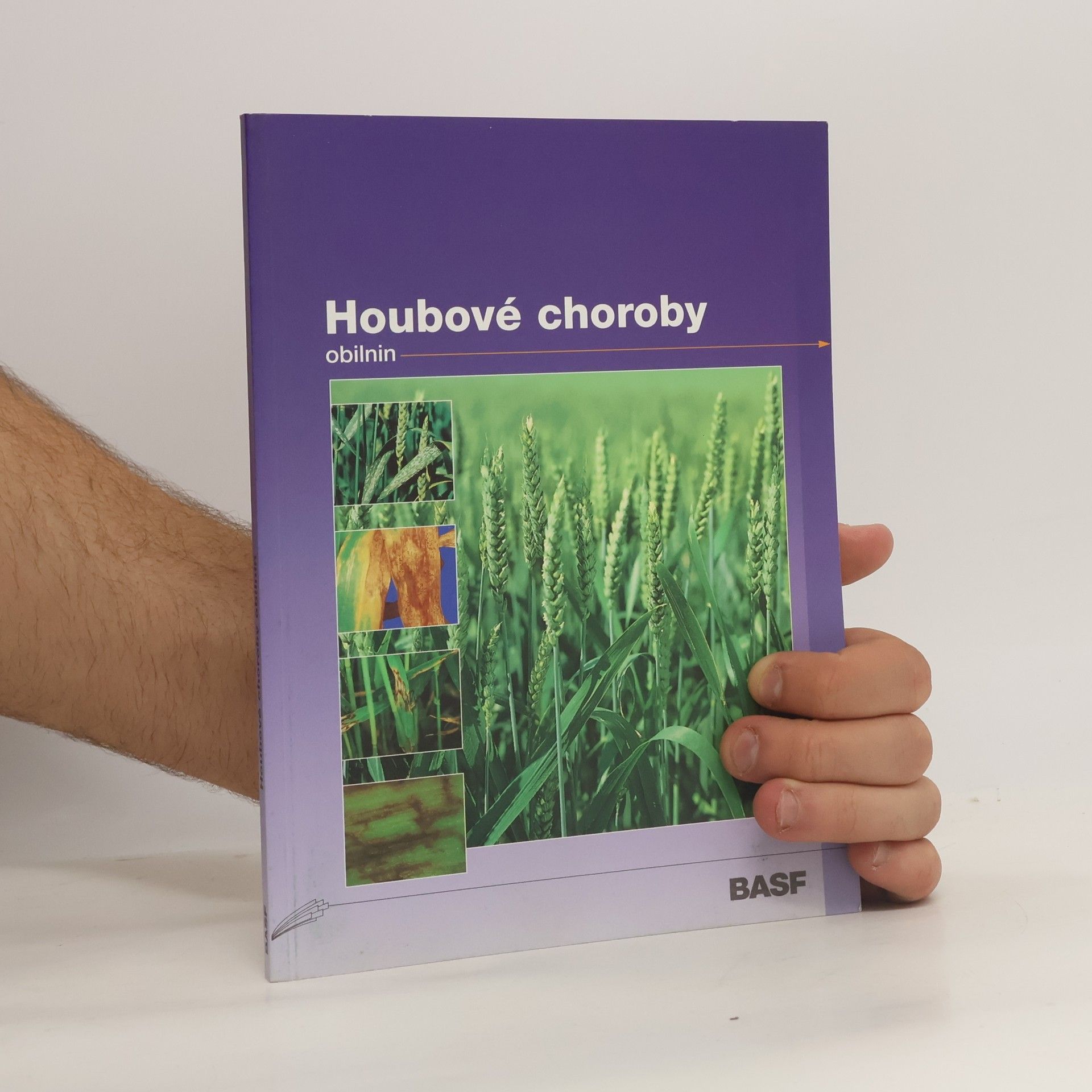 Autorenkollektiv Houbové choroby obilnin