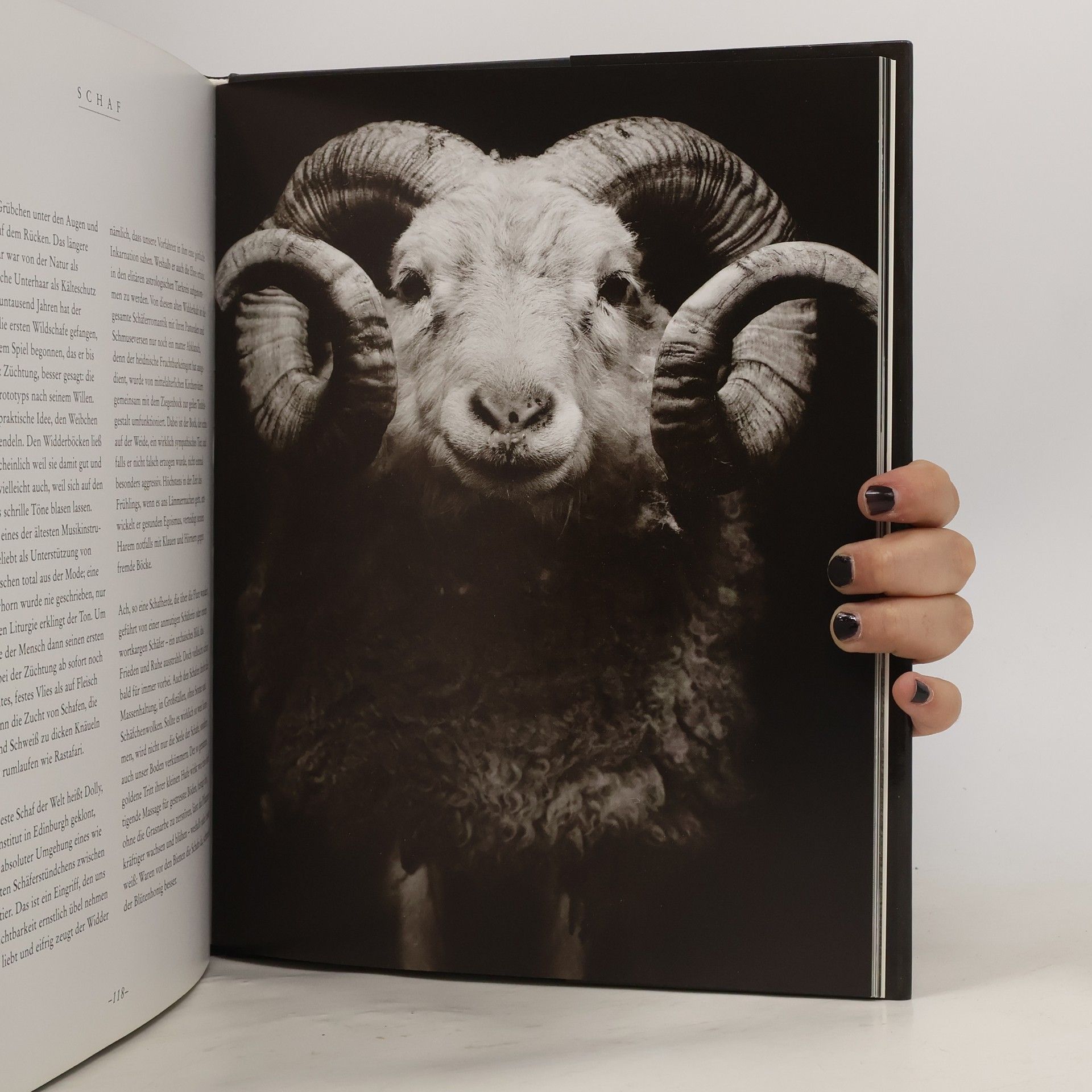 Walter Schels Die Seele der Tiere