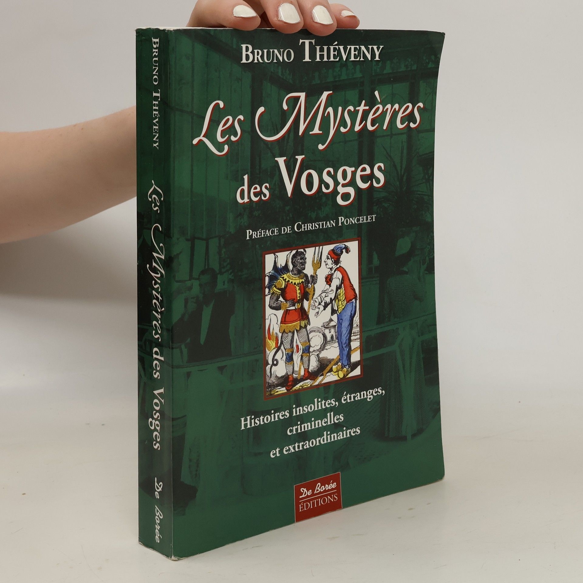 Bruno Théveny Les mystères des Vosges