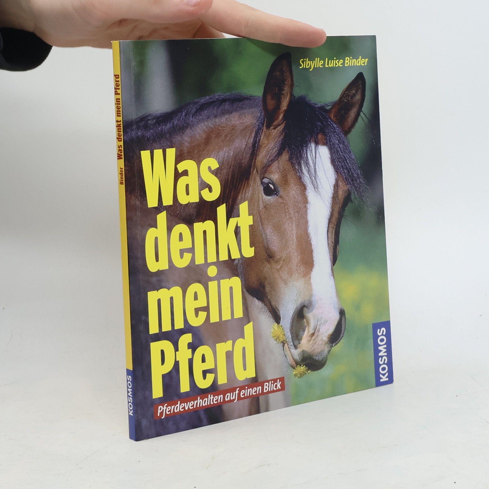 Sibylle Luise Binder Was denkt mein Pferd?