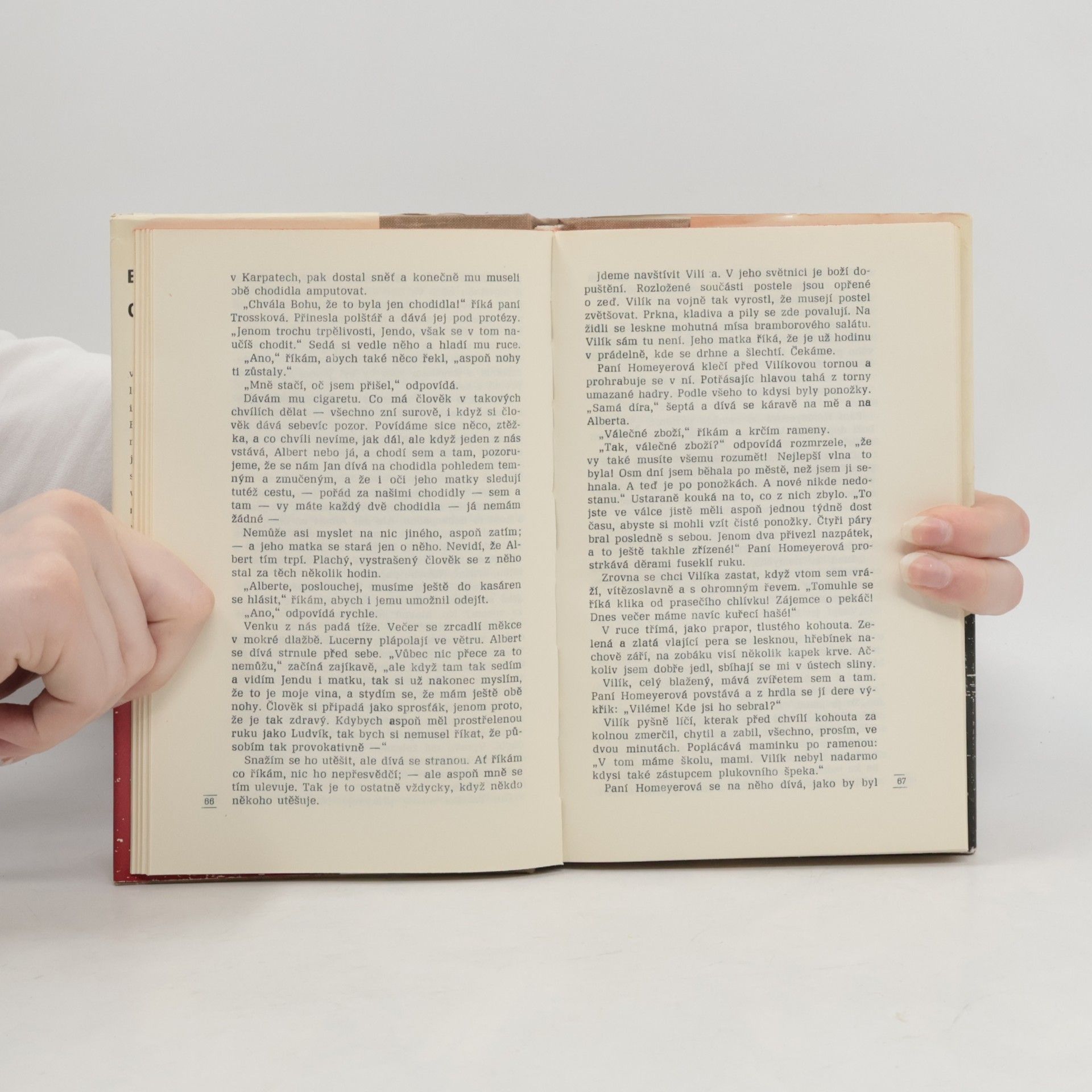 Erich Maria Remarque Cesta zpátky