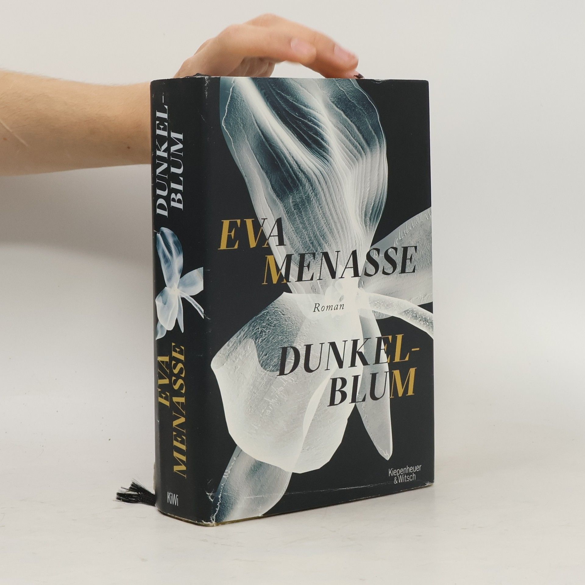 Eva Menasse Dunkelblum