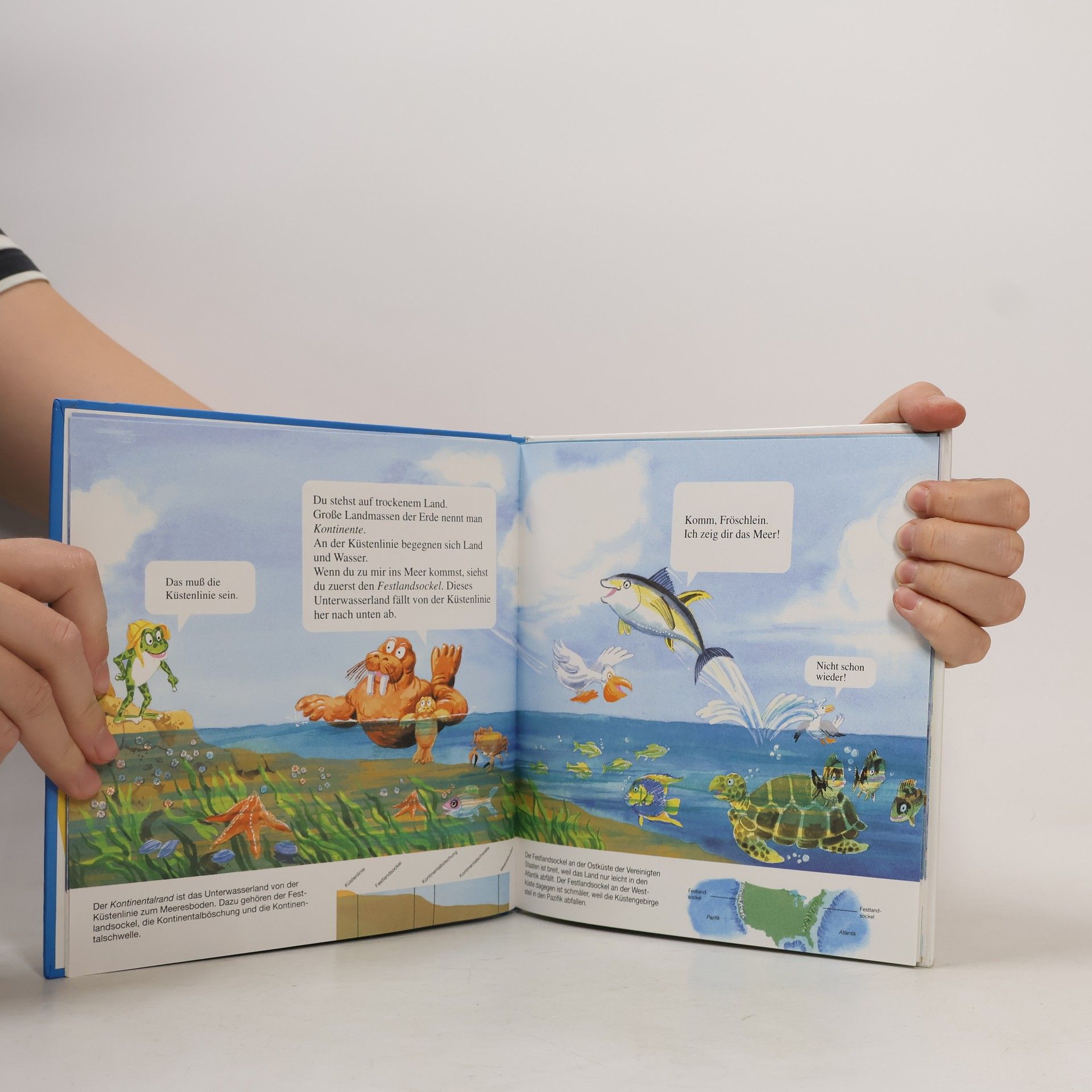Auteurscollectief Meere & Weltmeere