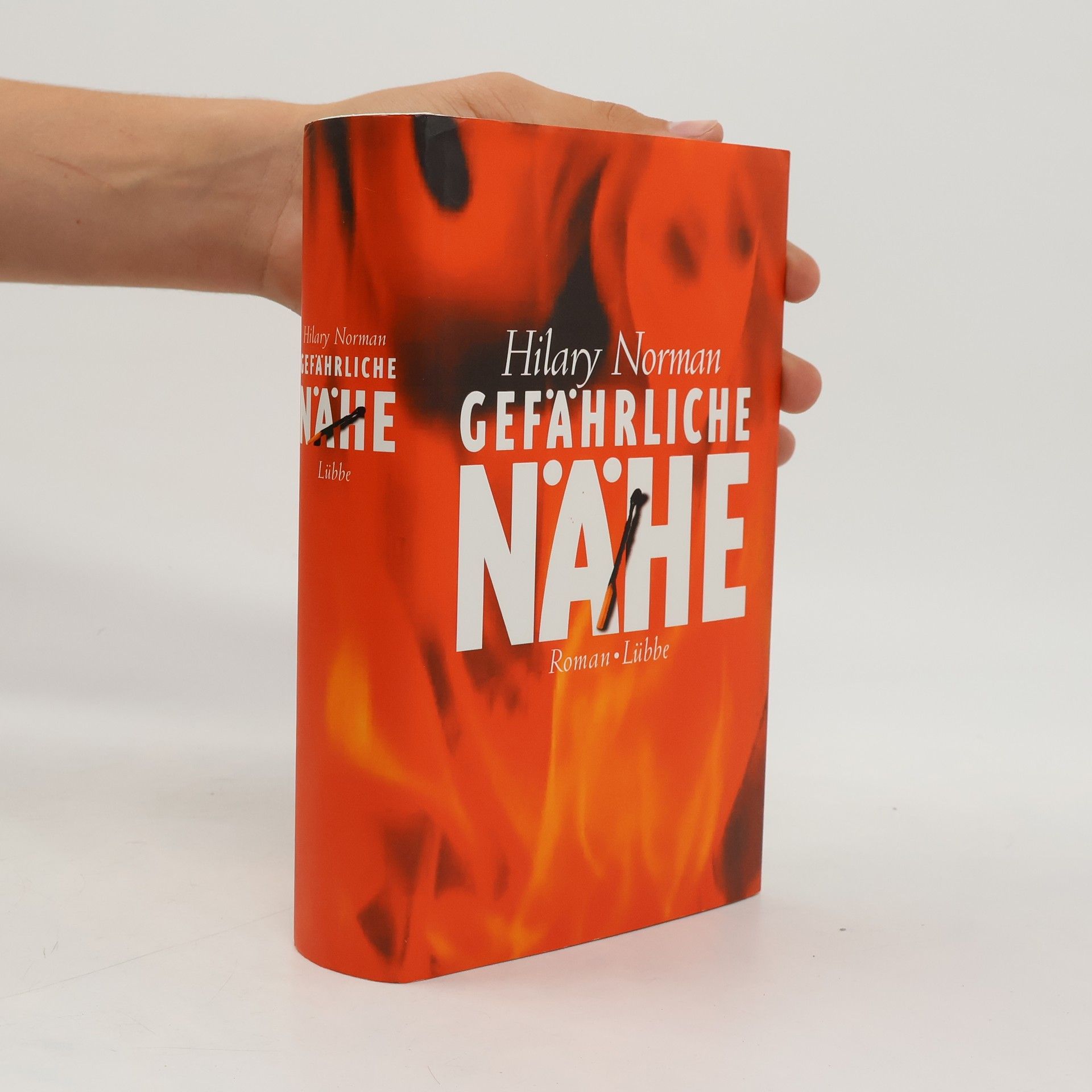 Hilary Norman Gefährliche Nähe