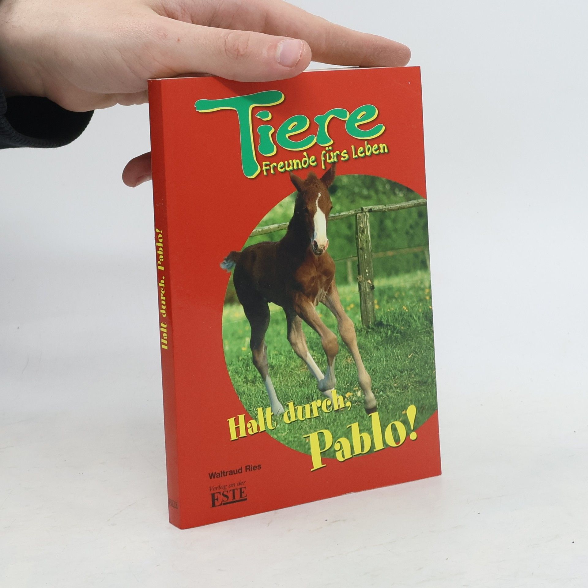 Autorenkollektiv Halt durch, Pablo! Tiere, Freunde fürs Leben