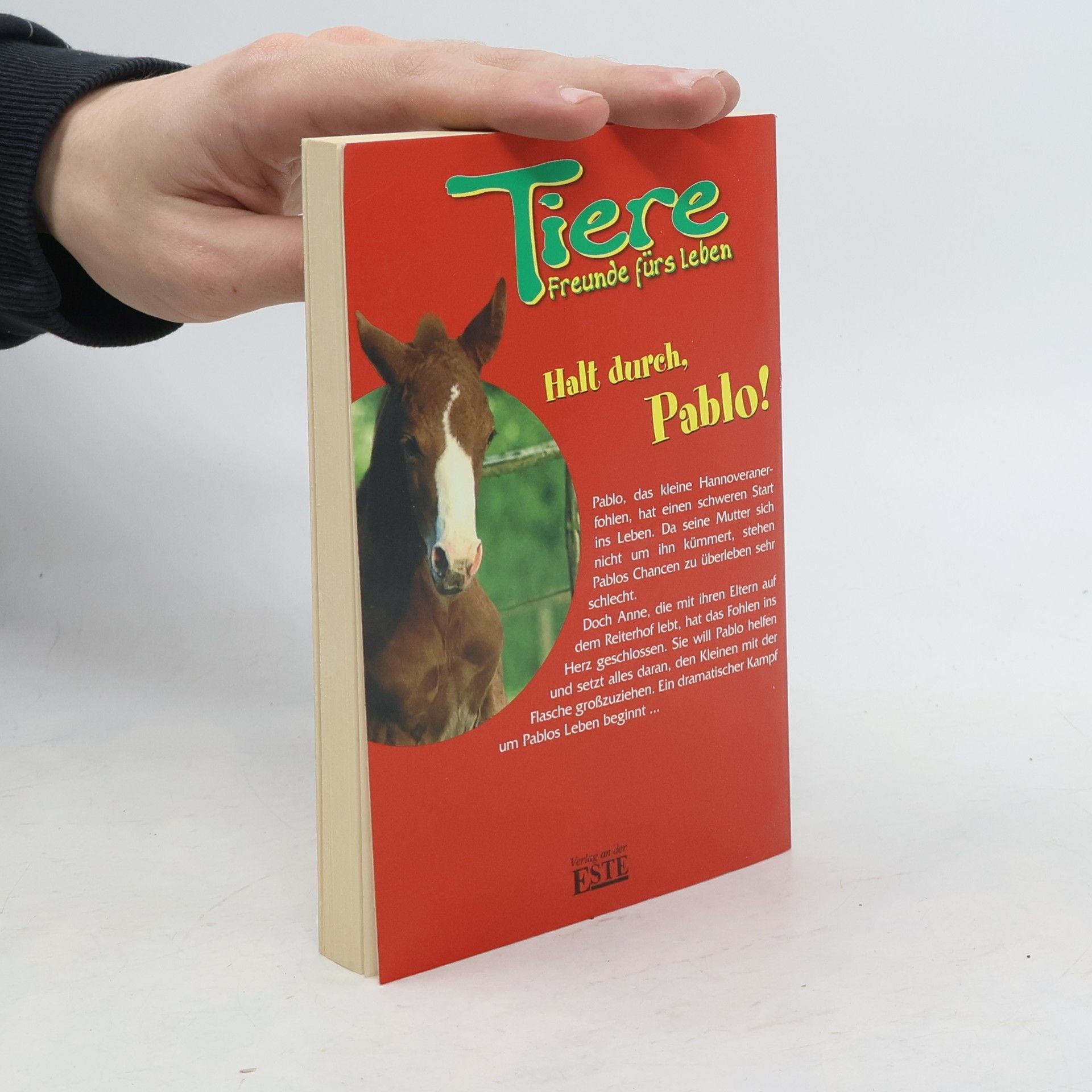 Autorenkollektiv Halt durch, Pablo! Tiere, Freunde fürs Leben