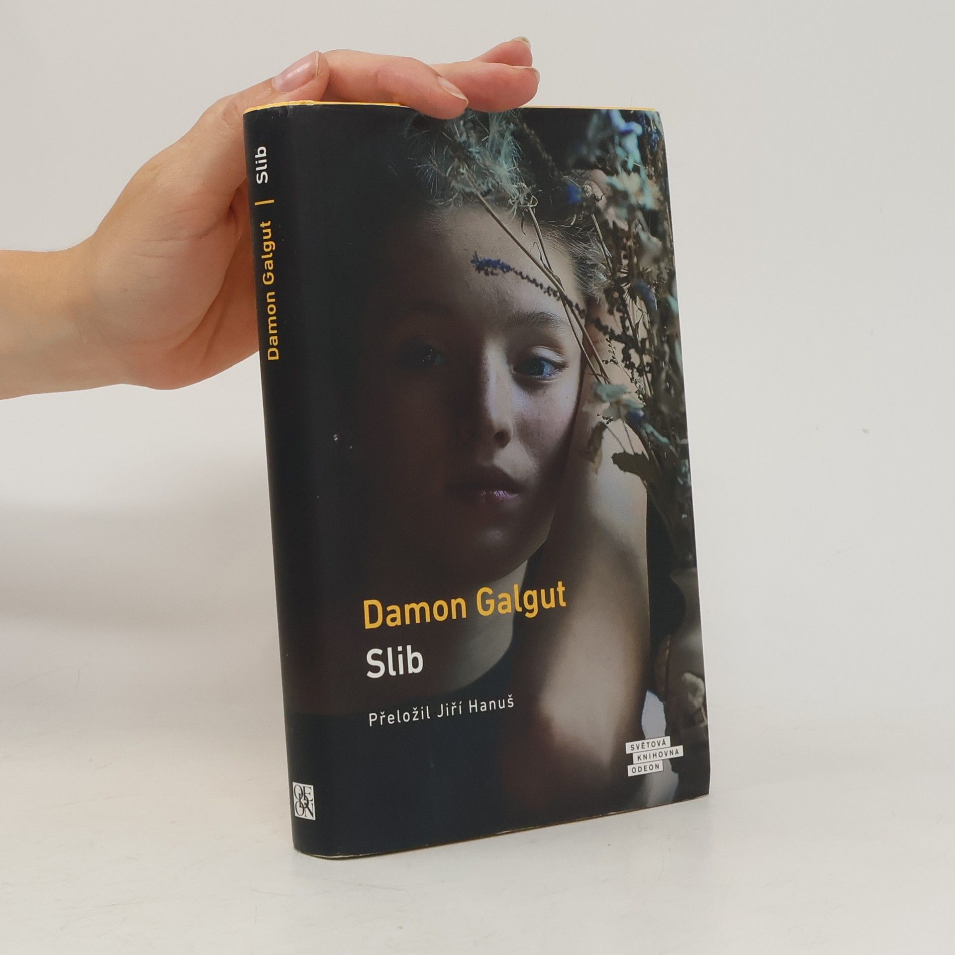 Damon Galgut Slib