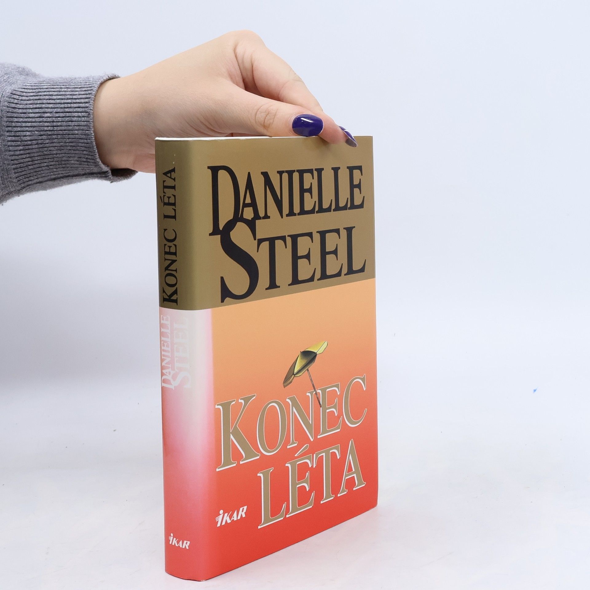 Danielle Steel Konec léta