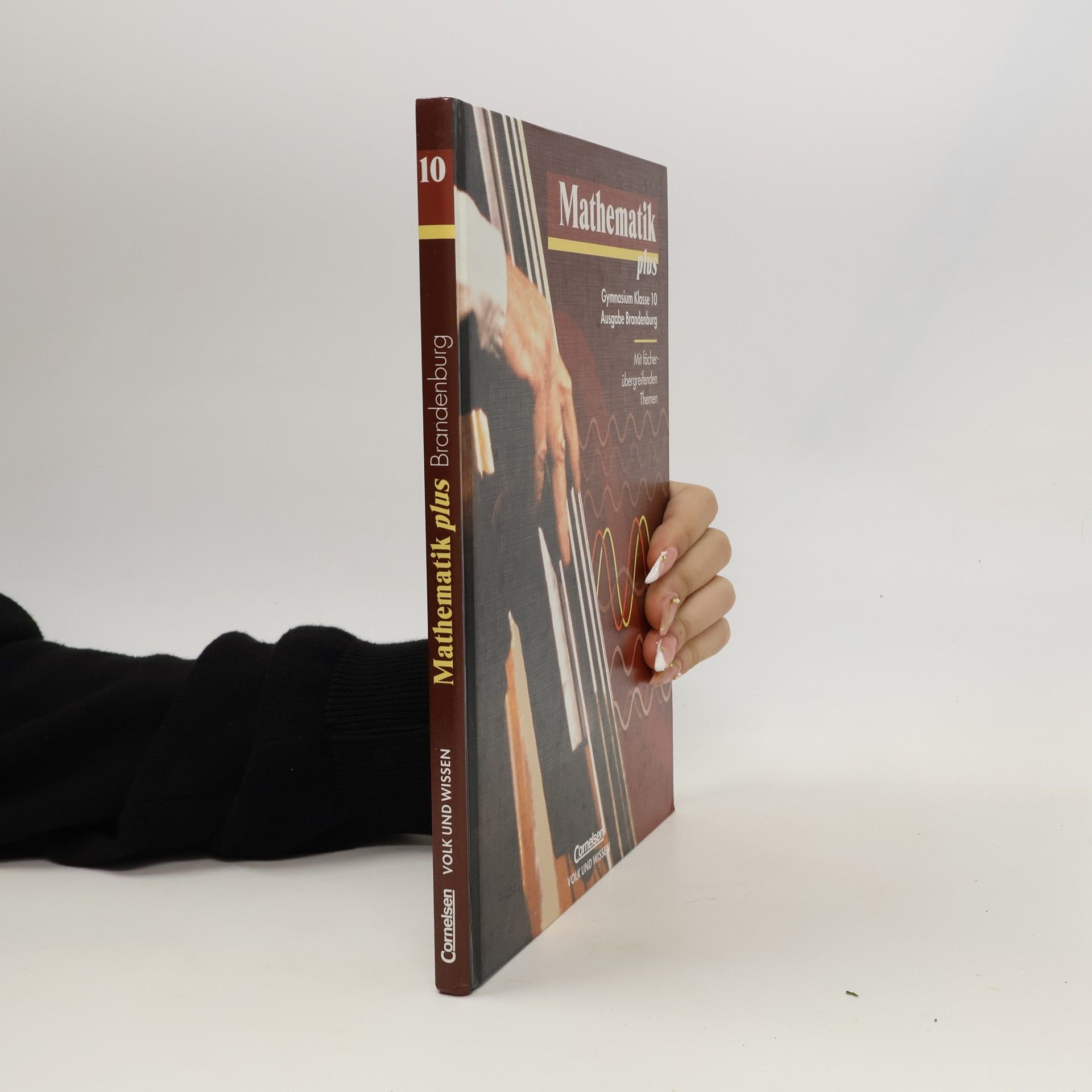 Werner Stoye Mathematik plus, EURO, Klasse 10