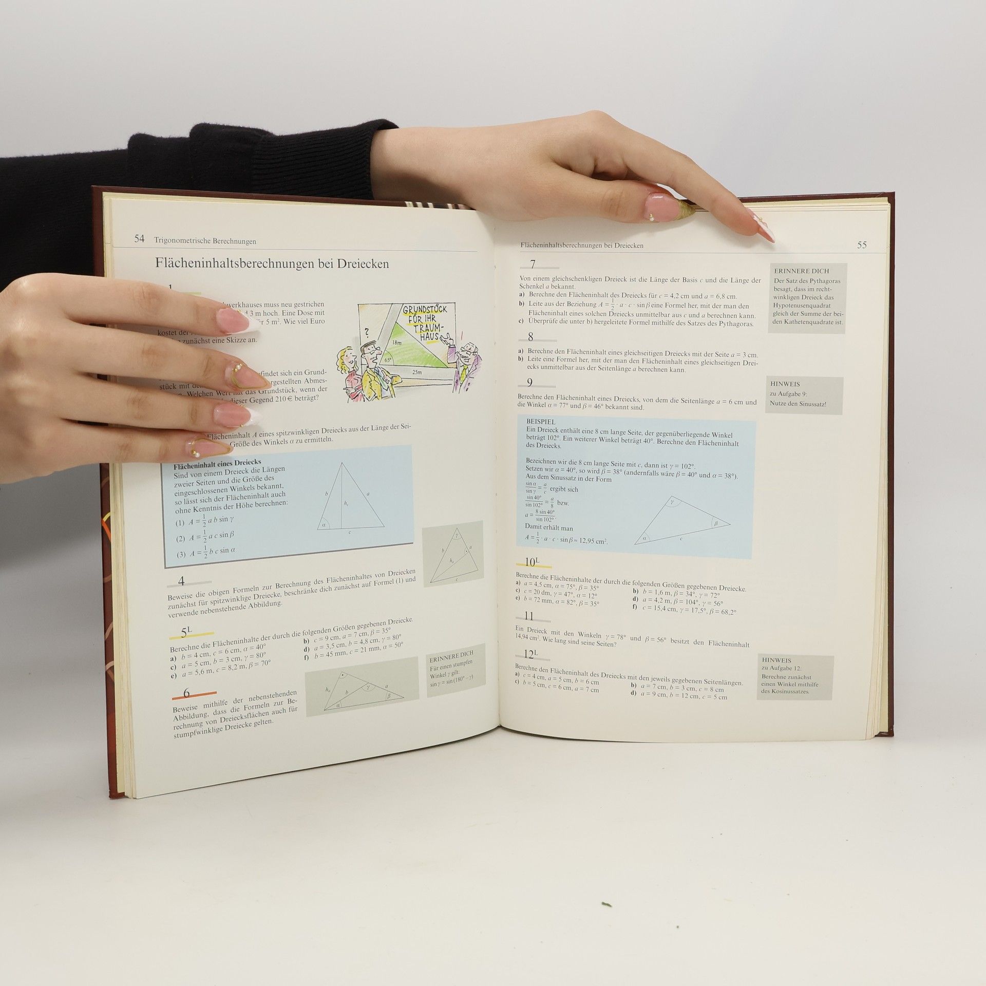 Werner Stoye Mathematik plus, EURO, Klasse 10