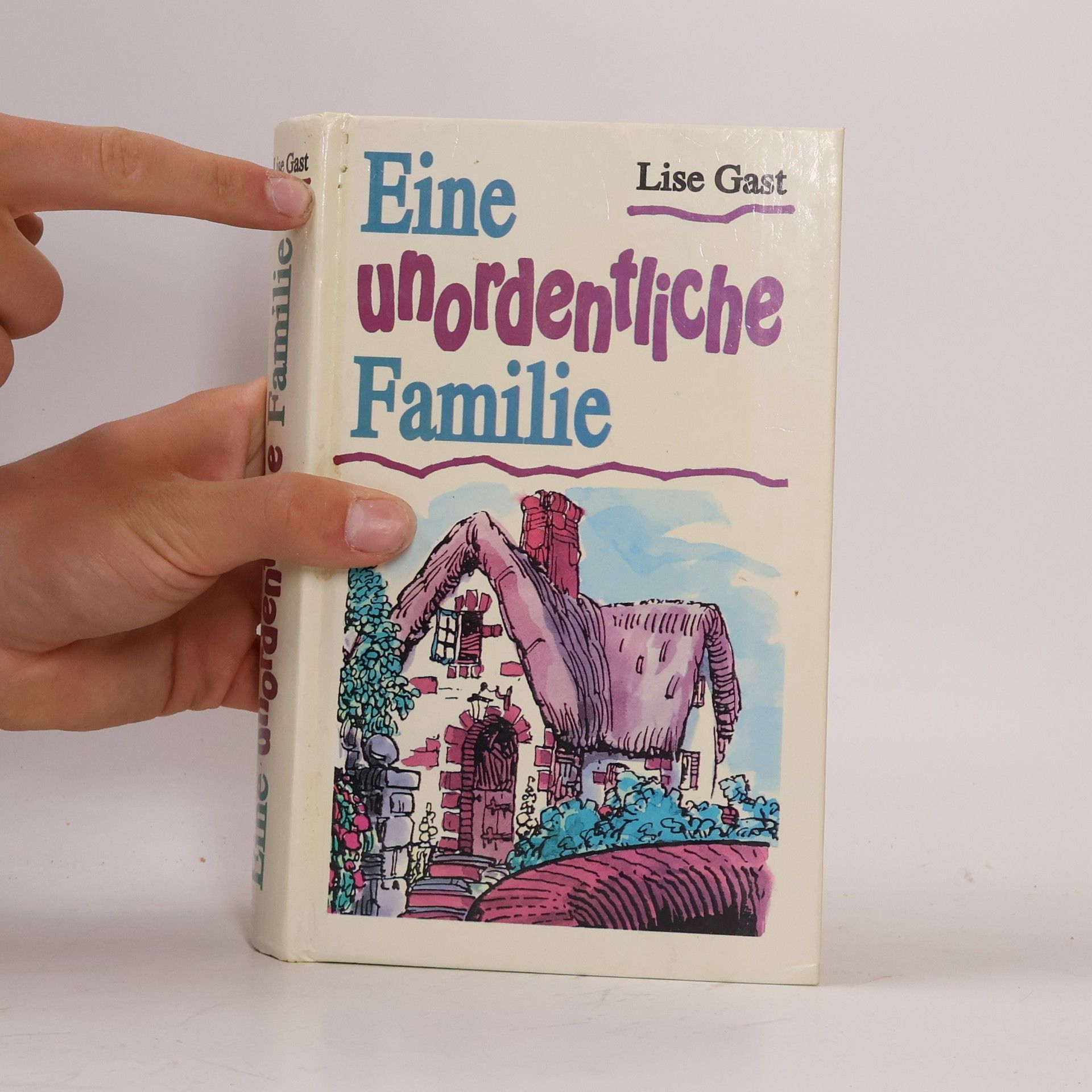 Lise Gast Eine unordentliche Familie