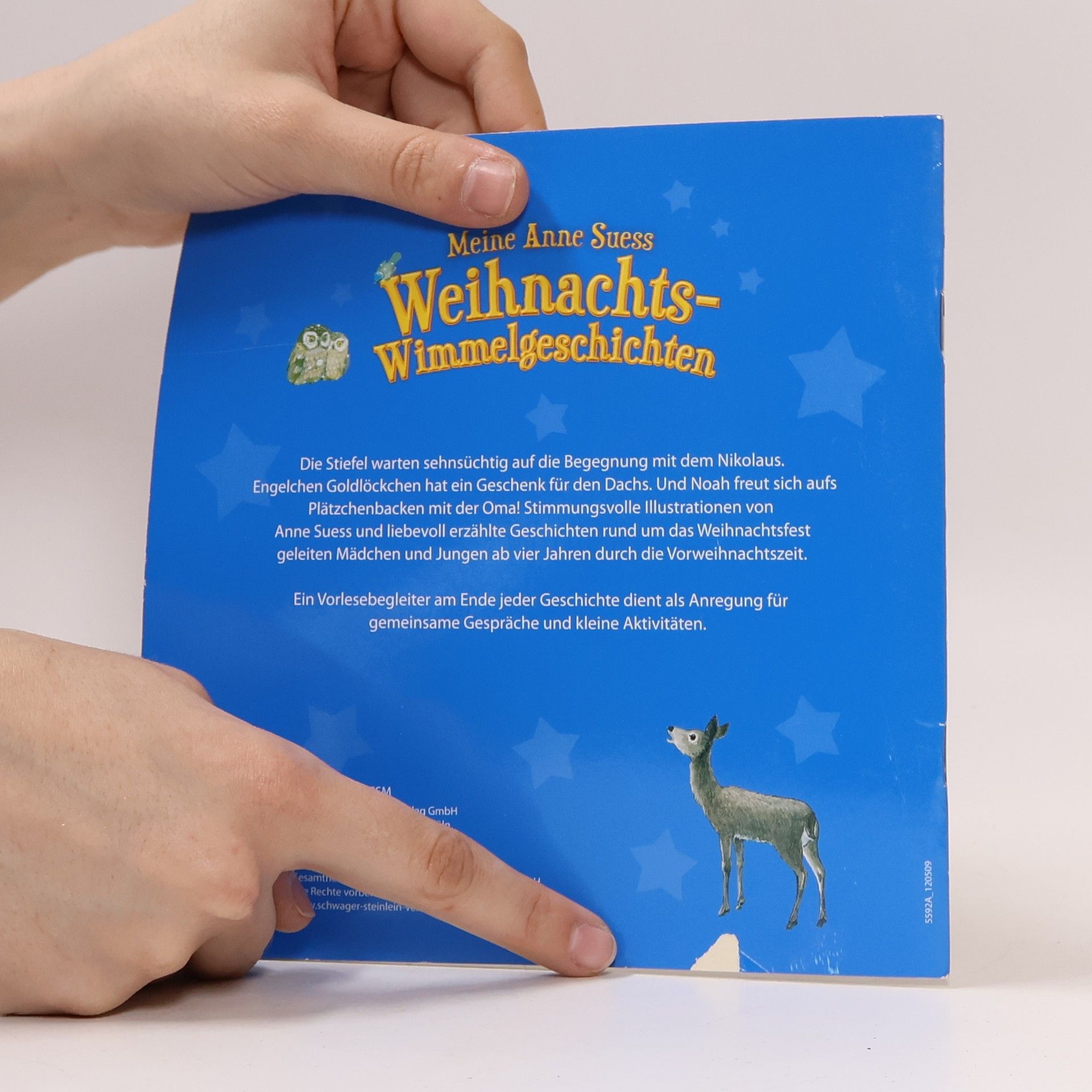 Bettina Menzel Weihnachtswimmelbuch
