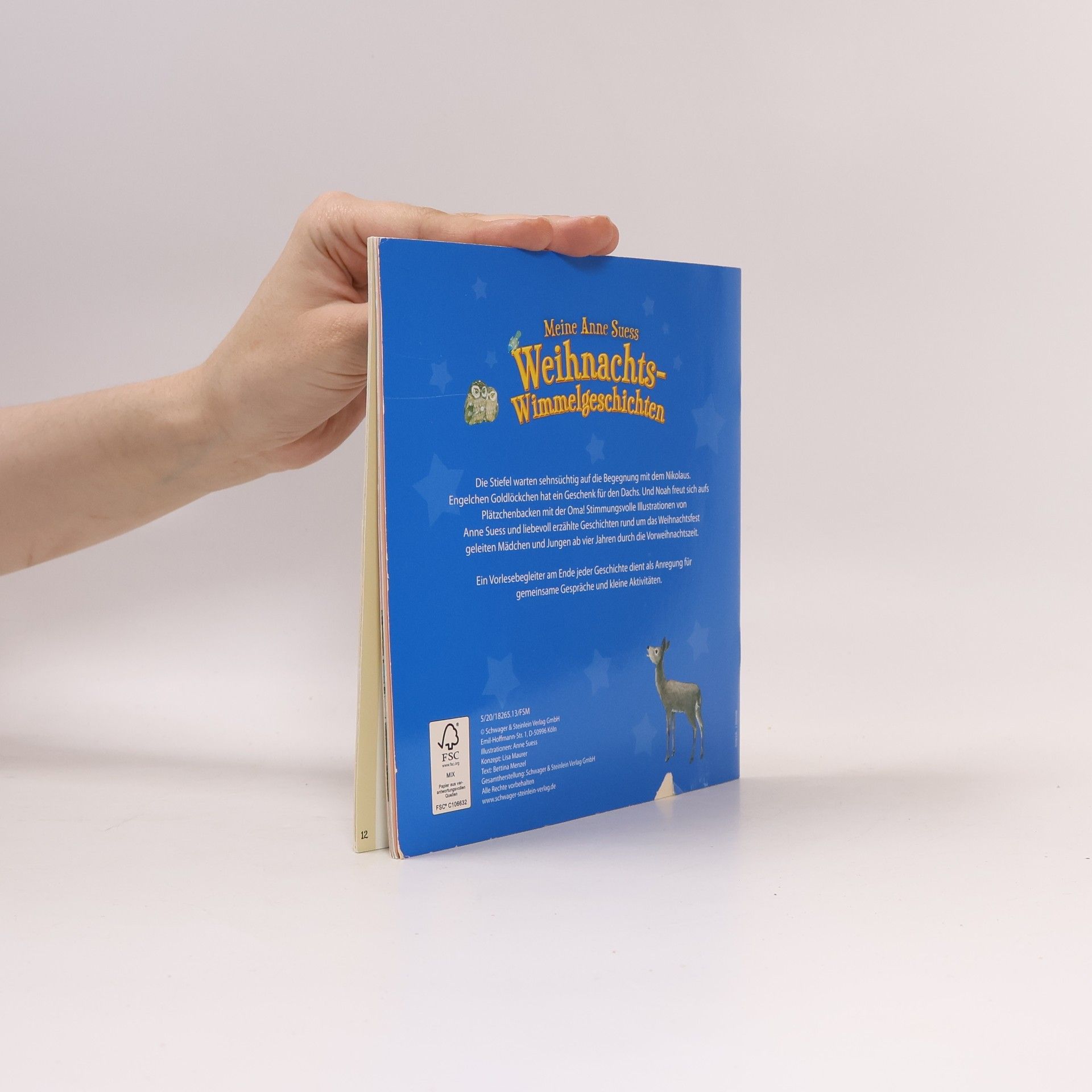 Bettina Menzel Weihnachtswimmelbuch