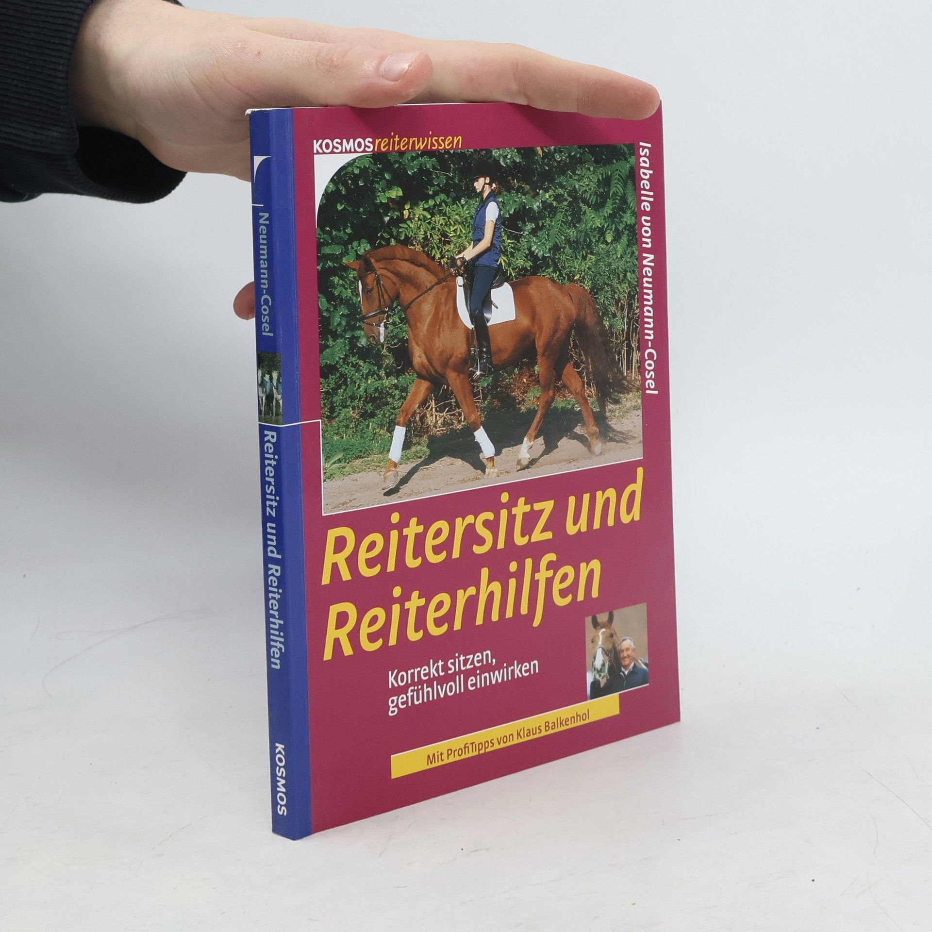 Isabelle Neumann-Cosel Reitersitz und Reiterhilfen