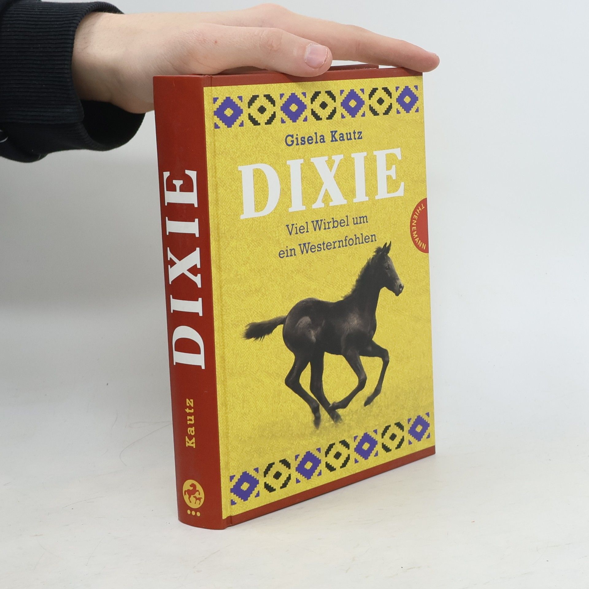 Gisela Kautz Dixie - viel Wirbel um ein Westernfohlen