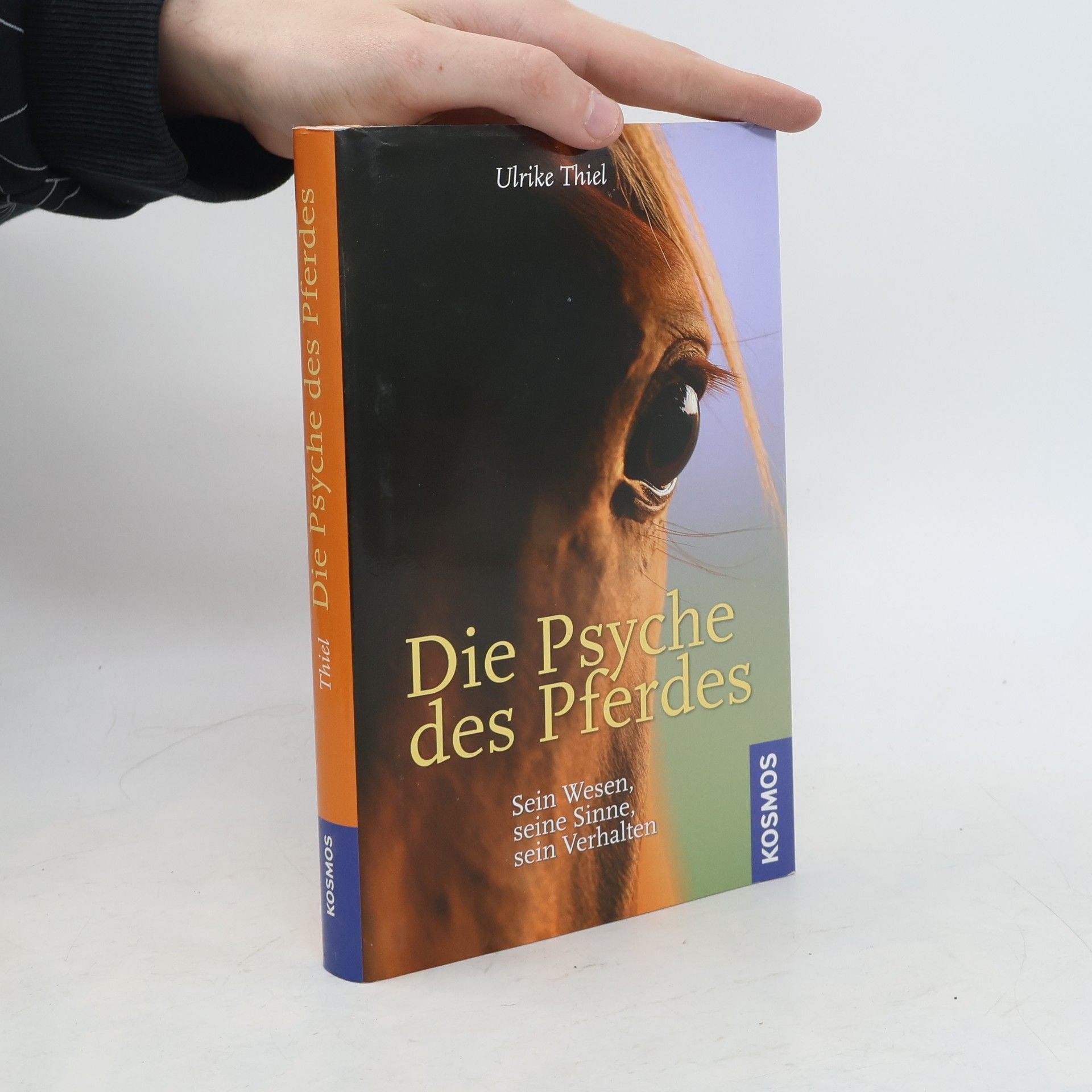 Ulrike Thiel Die Psyche des Pferdes