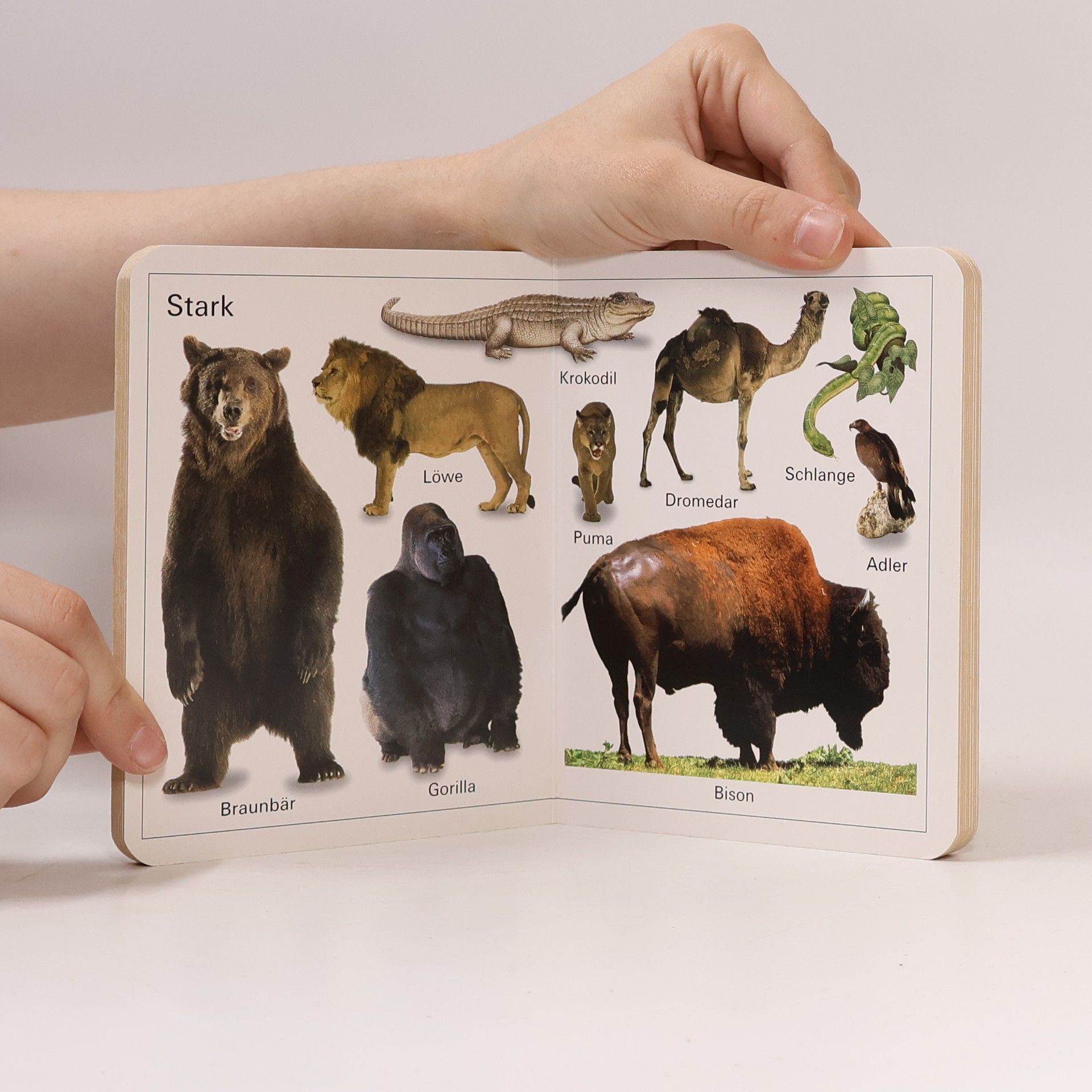 Die Tiere