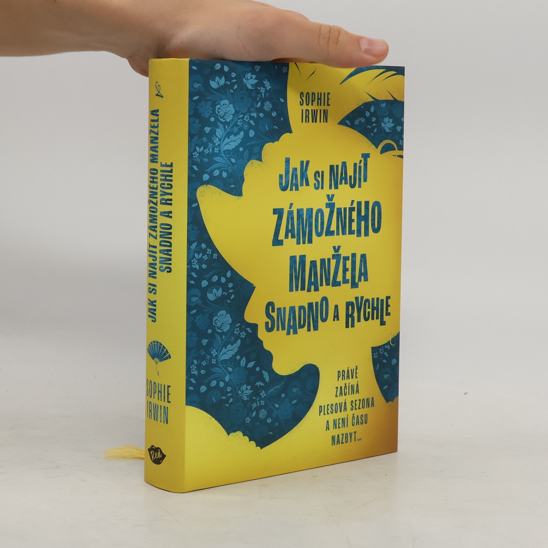 Sophie Irwin Jak si najít zámožného manžela snadno a rychle