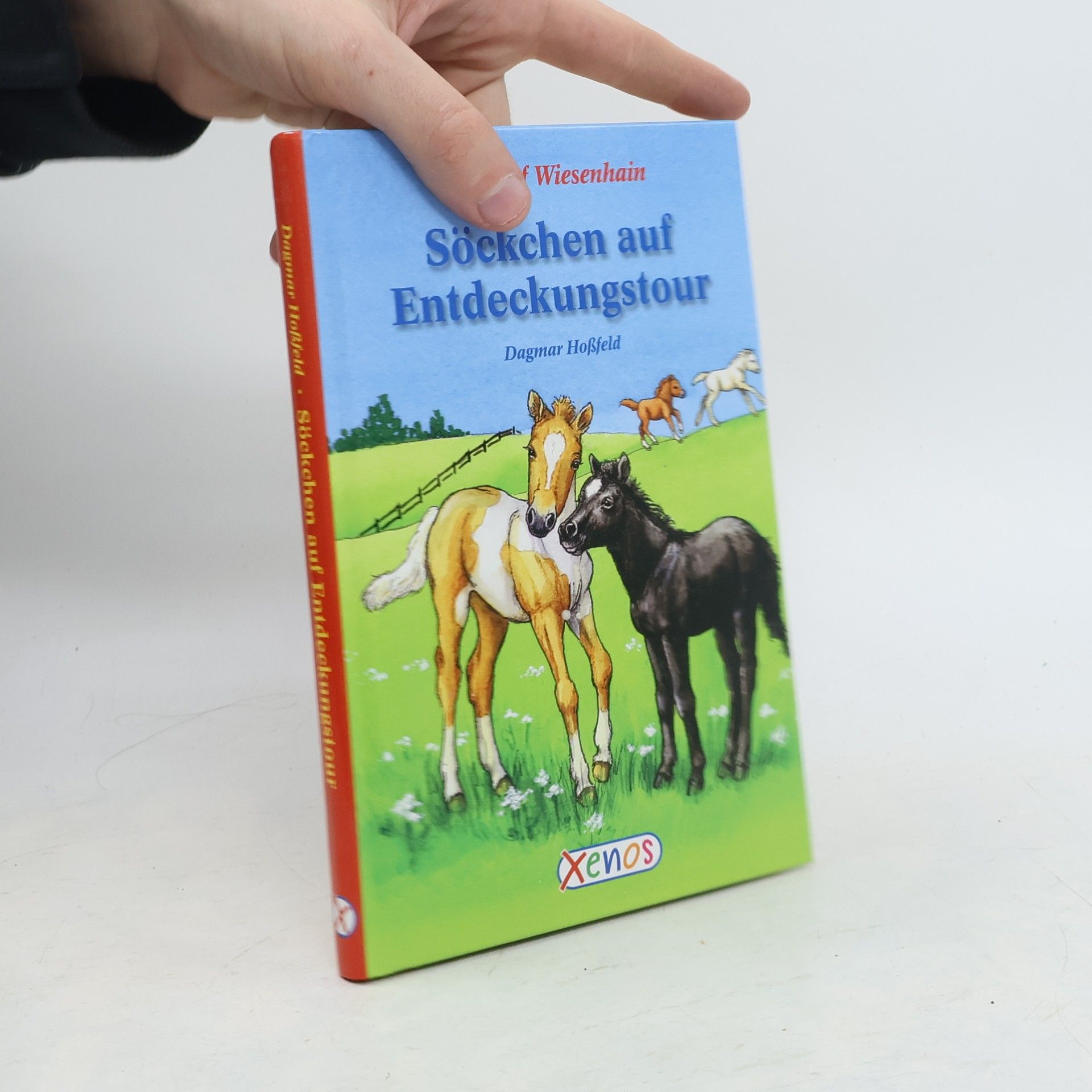 Ponyhof Wiesenhain - Söckchen auf Entdeckungstour