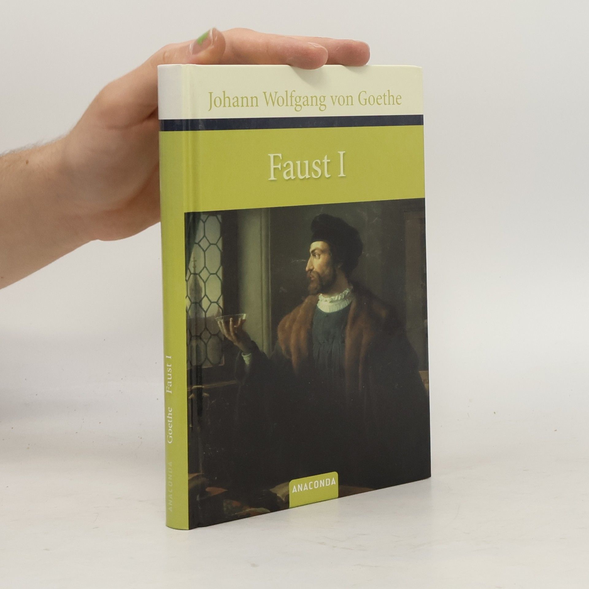Johann Wolfgang von Goethe Faust : Der Tragödie erster Teil