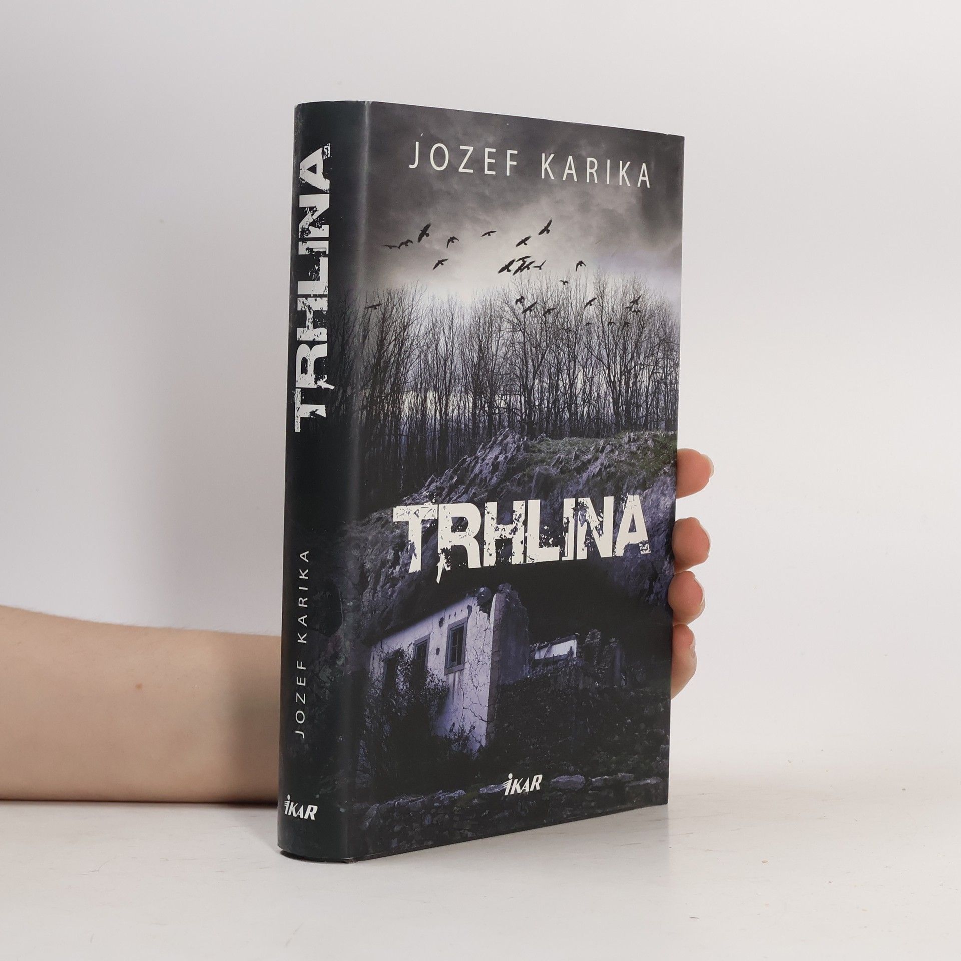 Jozef Karika Trhlina
