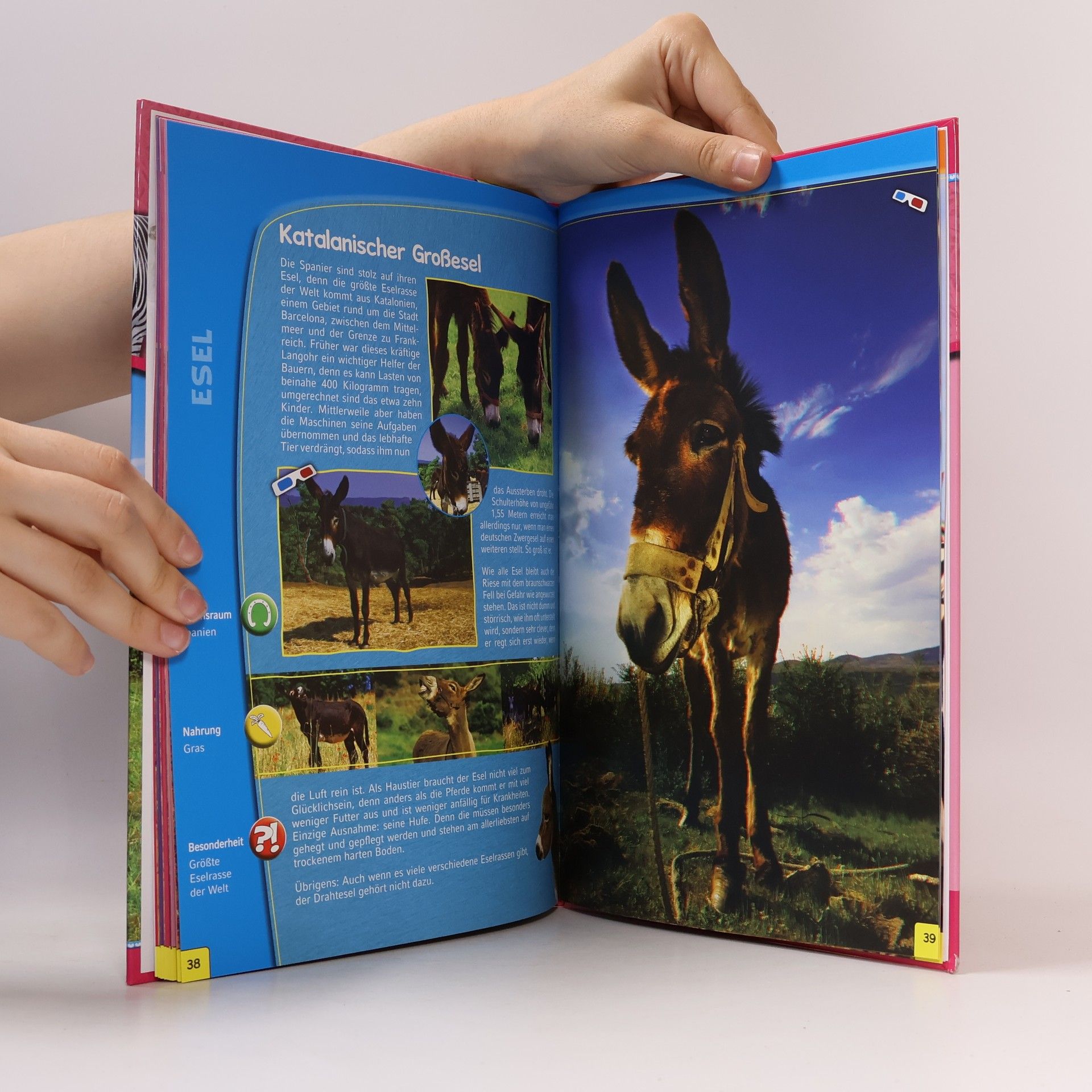 Auteurscollectief Ponys und Pferde 3D