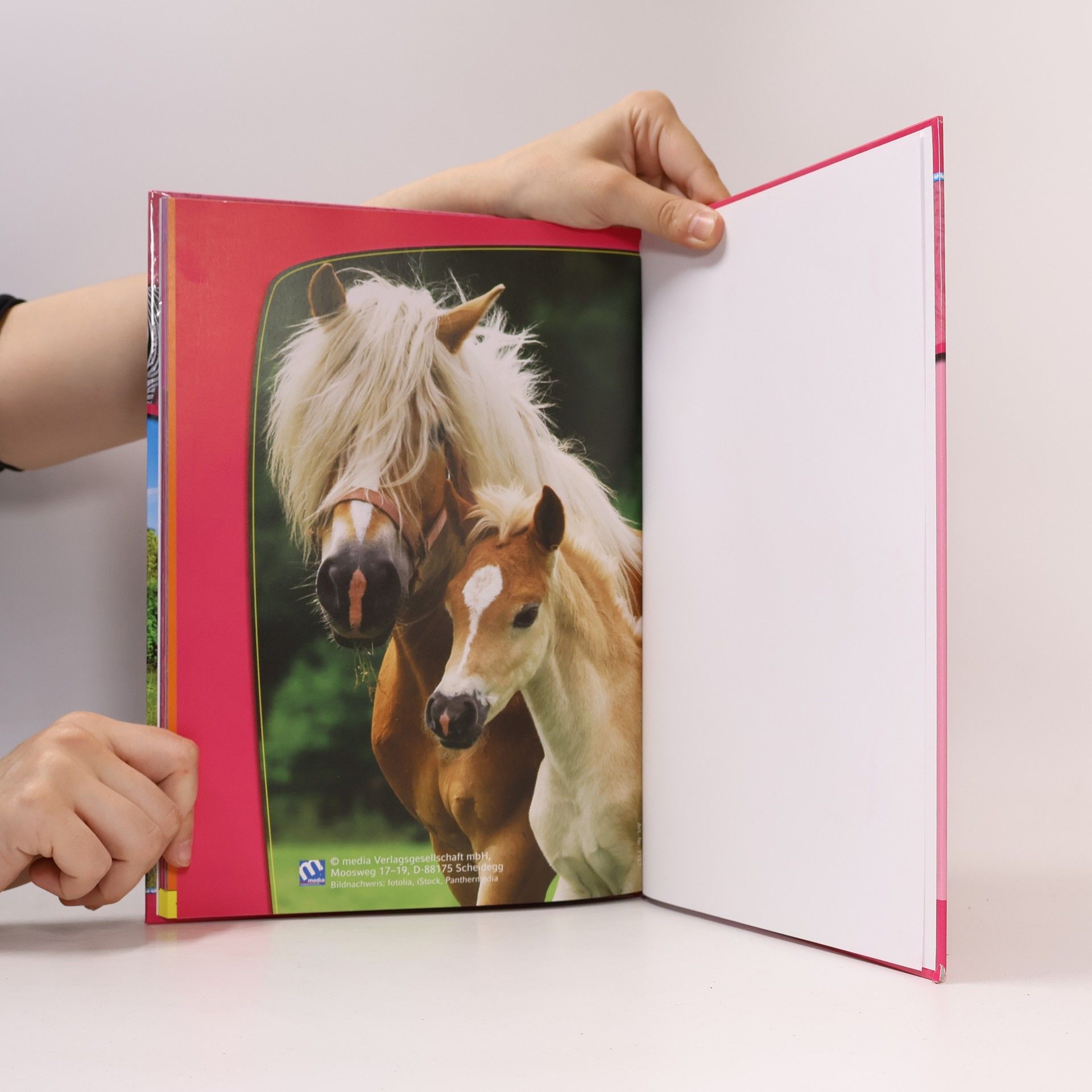 Auteurscollectief Ponys und Pferde 3D