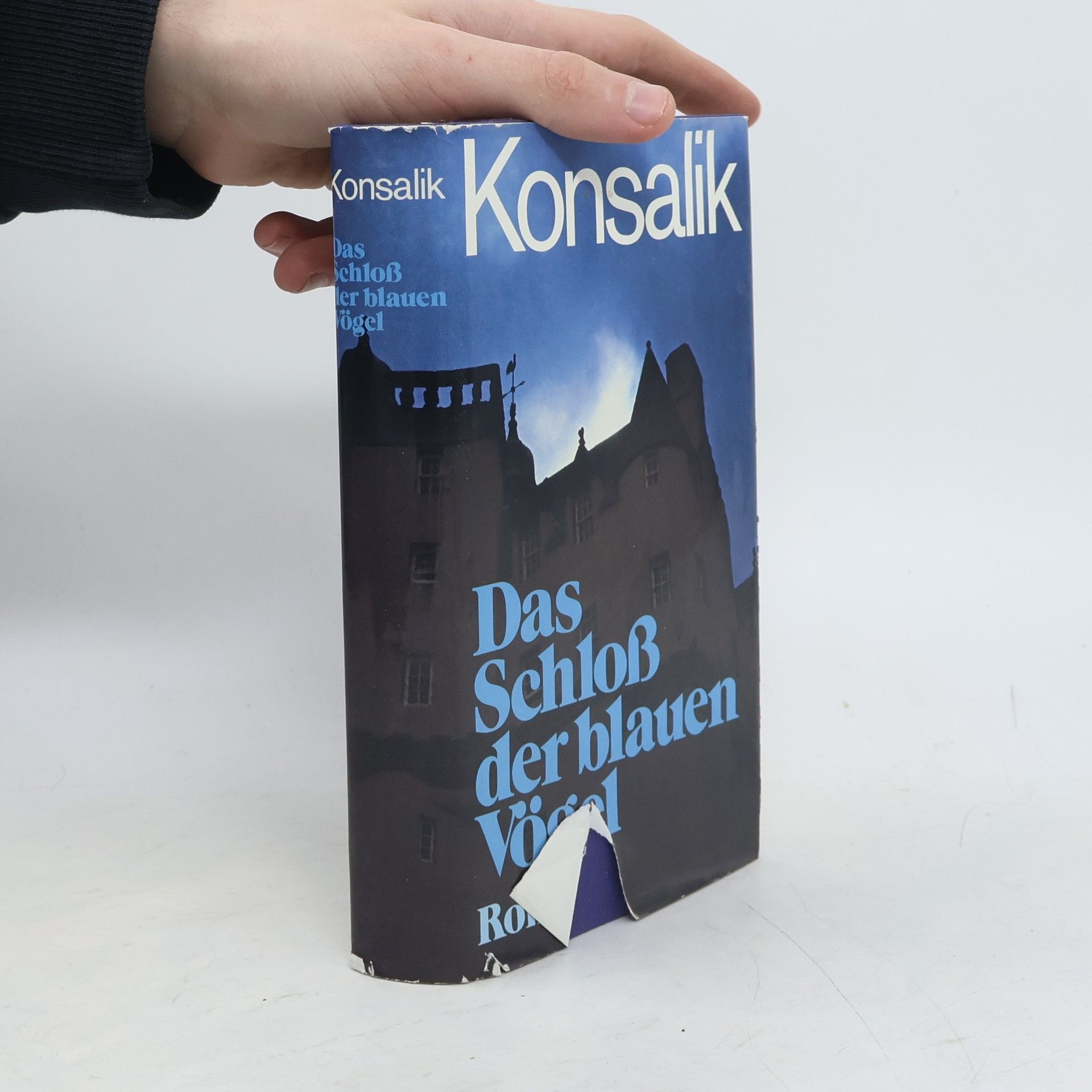 Heinz G. Konsalik Das Schloß der blauen Vögel