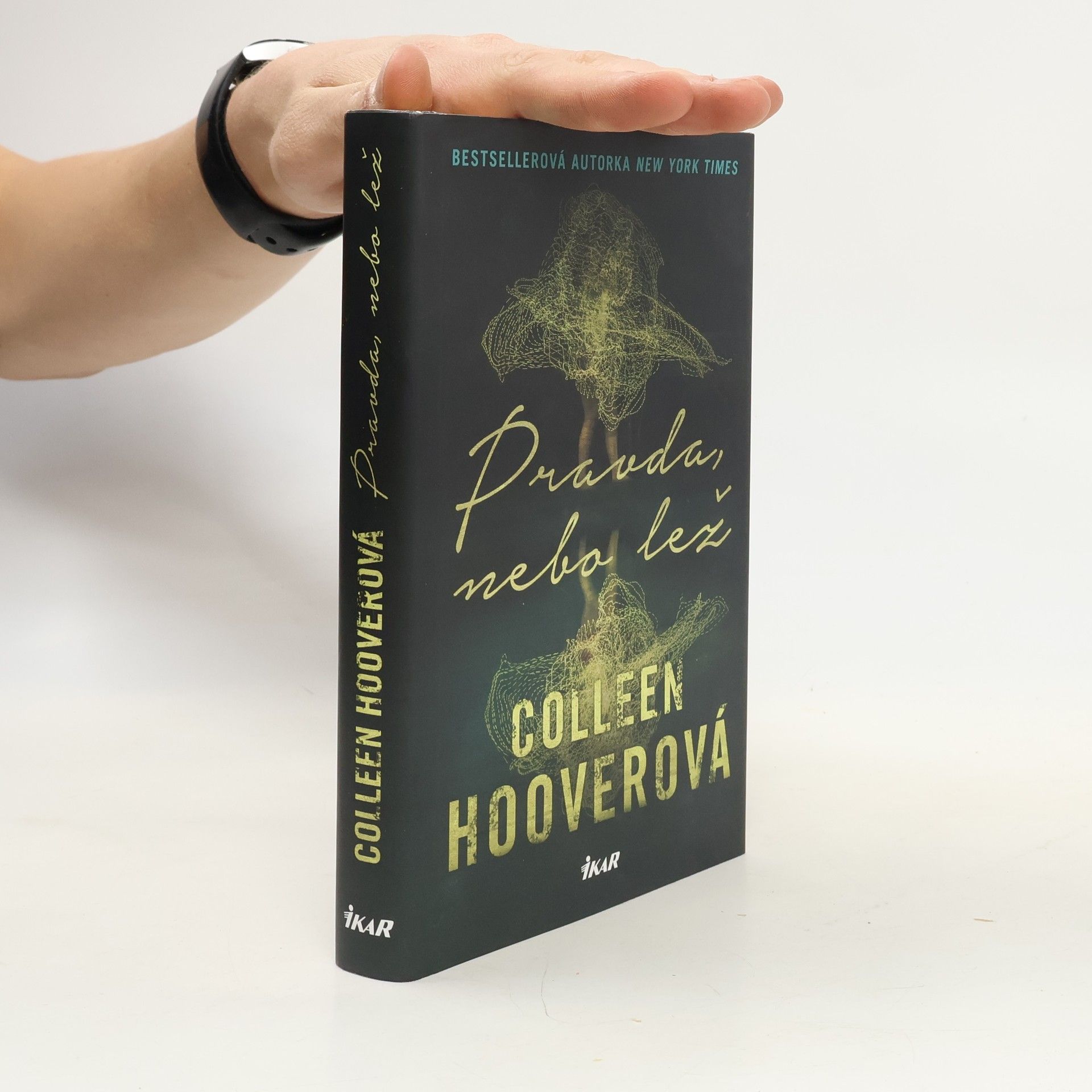 Colleen Hoover Pravda nebo lež