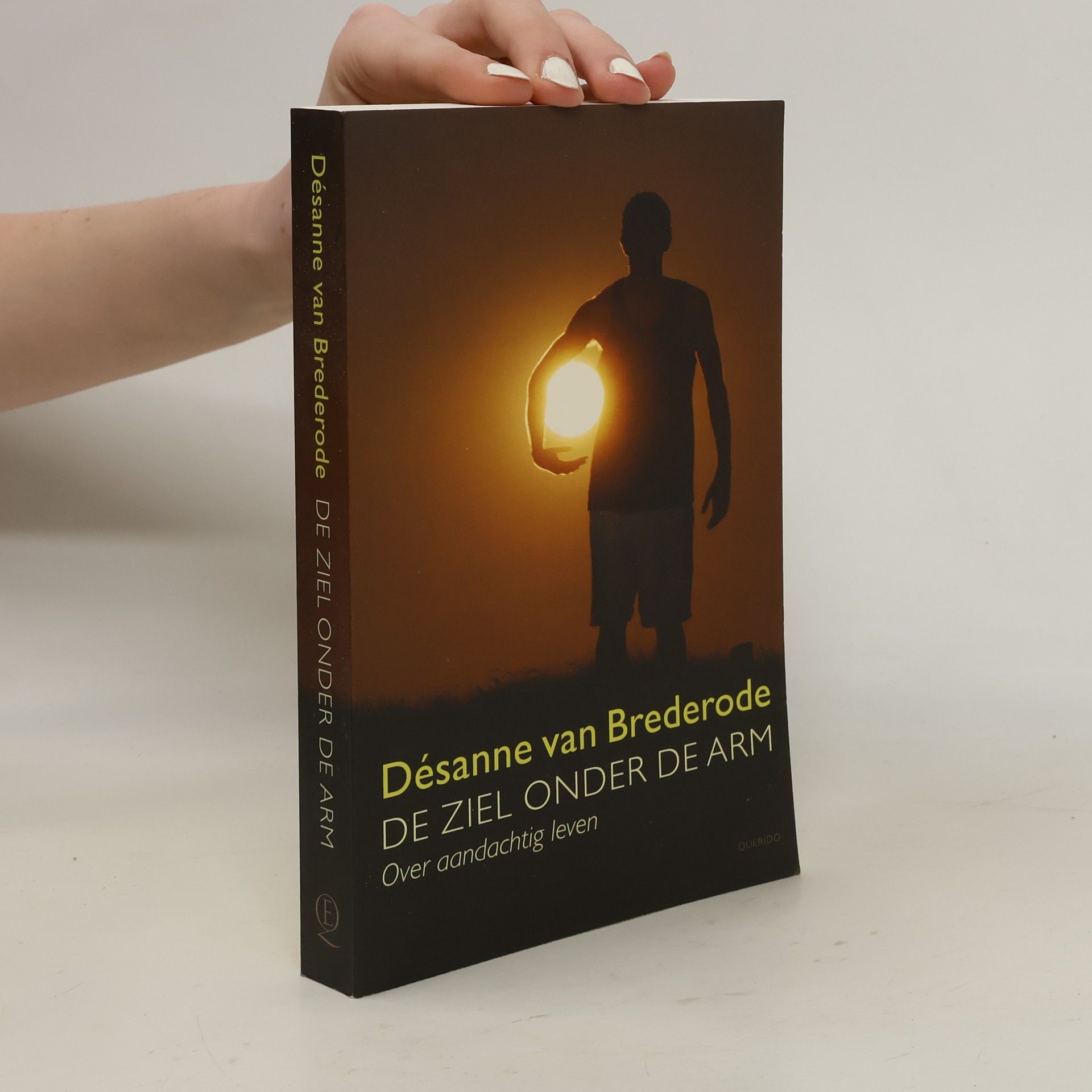 Désanne van Brederode De ziel onder de arm