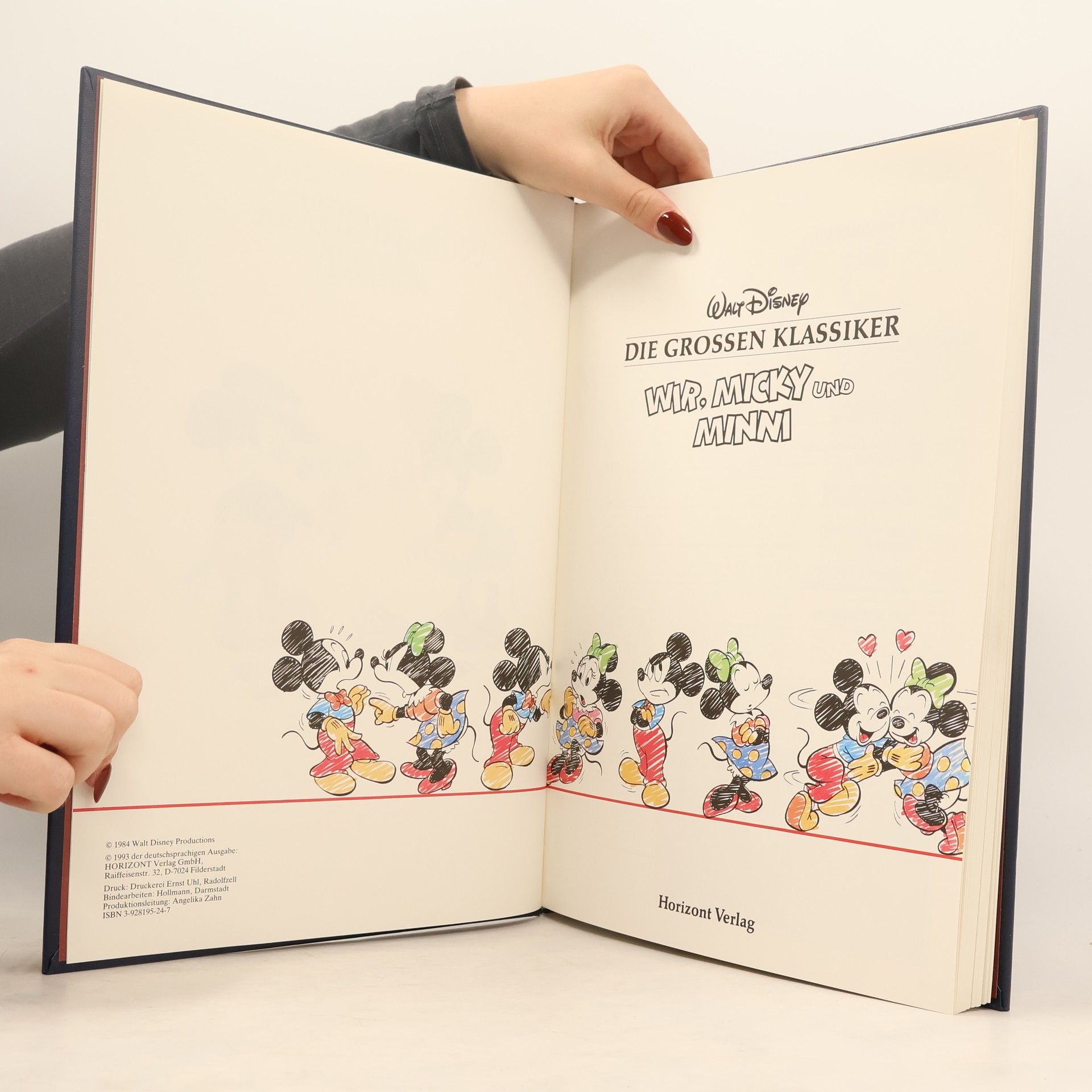 Walt Disney Wir, Micky und Minni