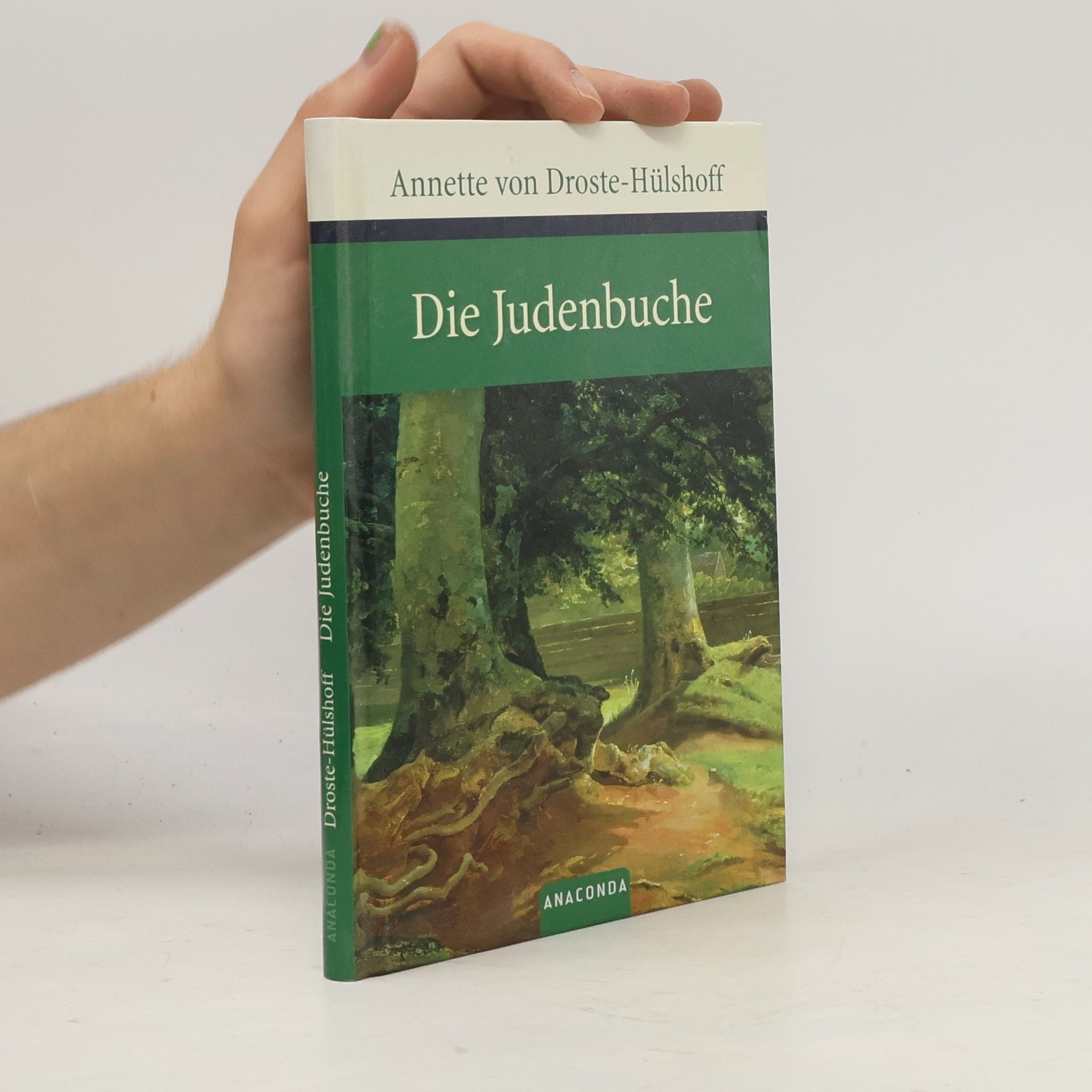 Annette von Droste-Hülshoff Die Judenbuche