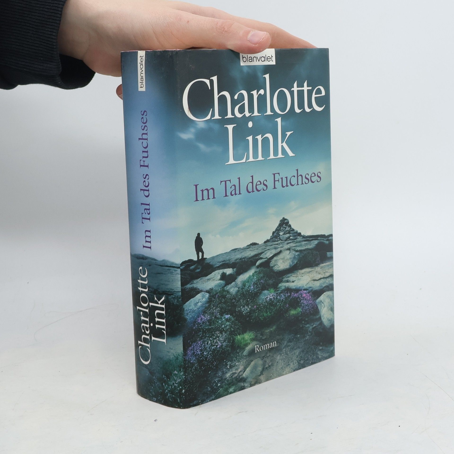 Charlotte Link Im Tal des Fuchses