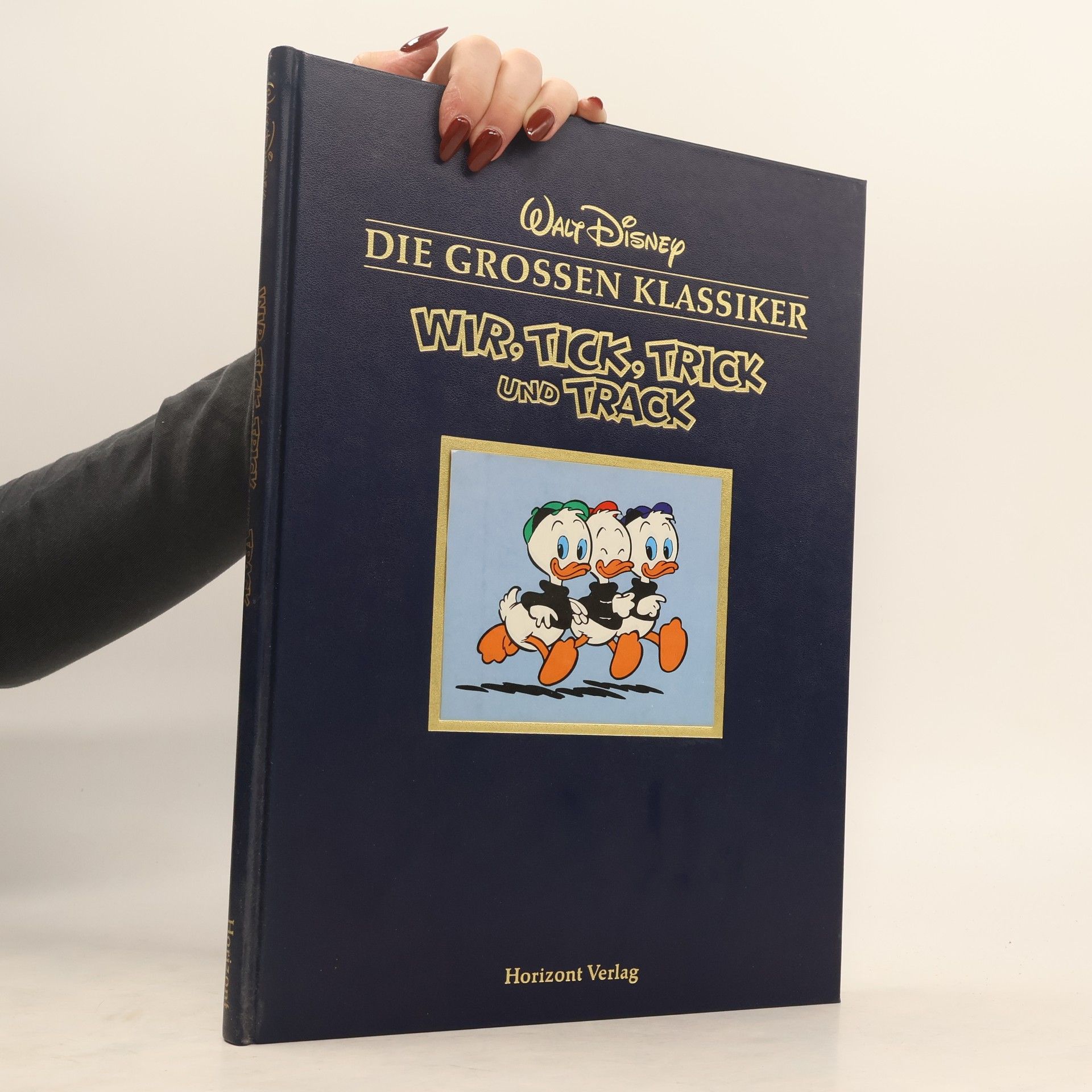 Walt Disney Wir, Tick, Trick und Track