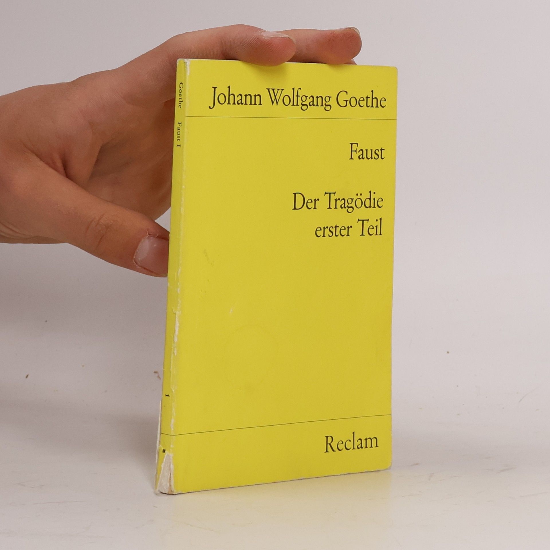 Johann Wolfgang von Goethe Faust : der Tragödie Erster teil